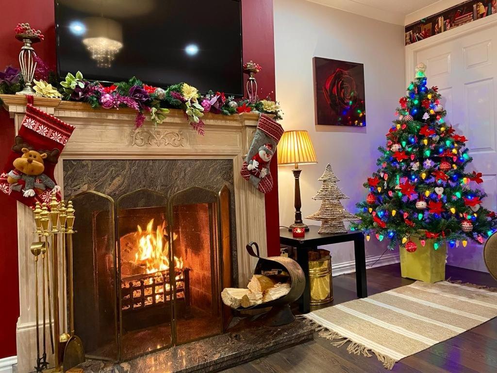 FINN VILLAGE "Mountain View Cottage" Private Garden, 9-seater HOT TUB, Firepit & Pizza Stove view 3