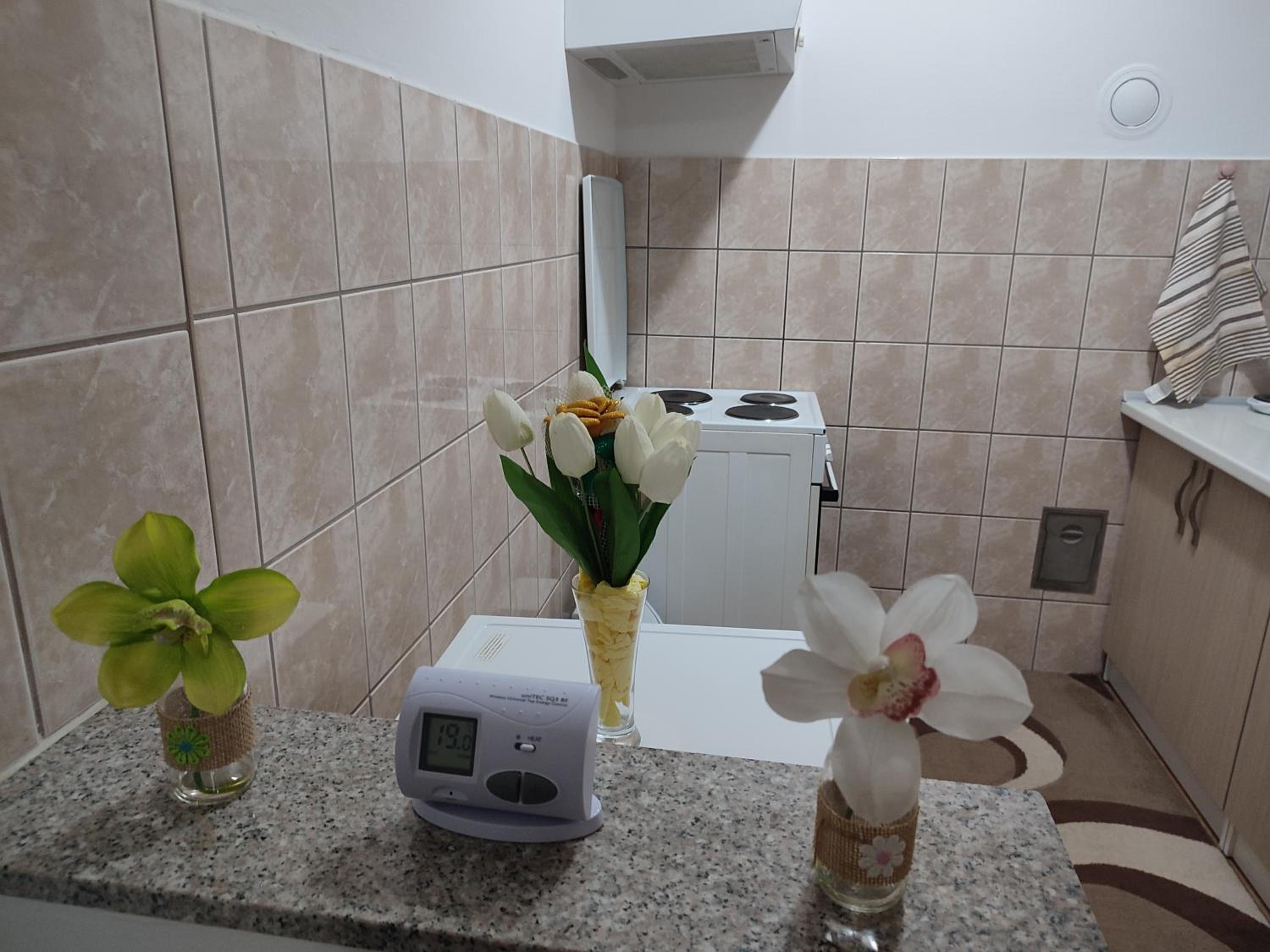 Apartman Tanja