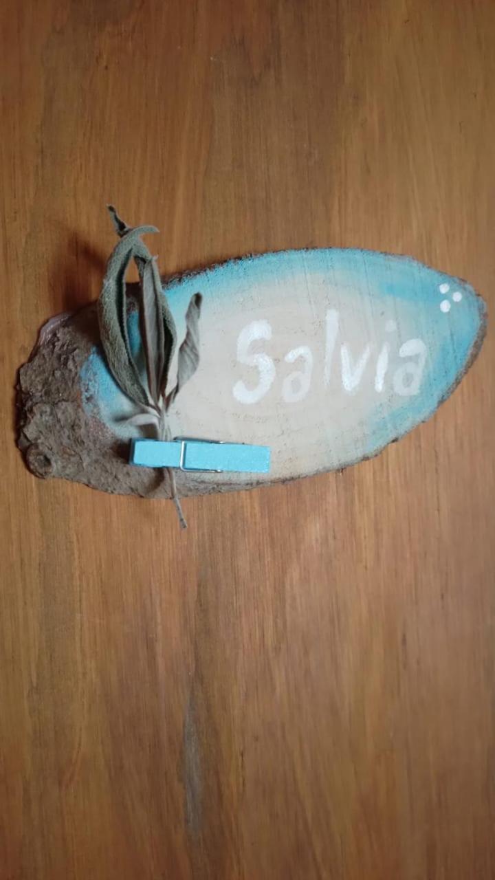 La Casita de Carla