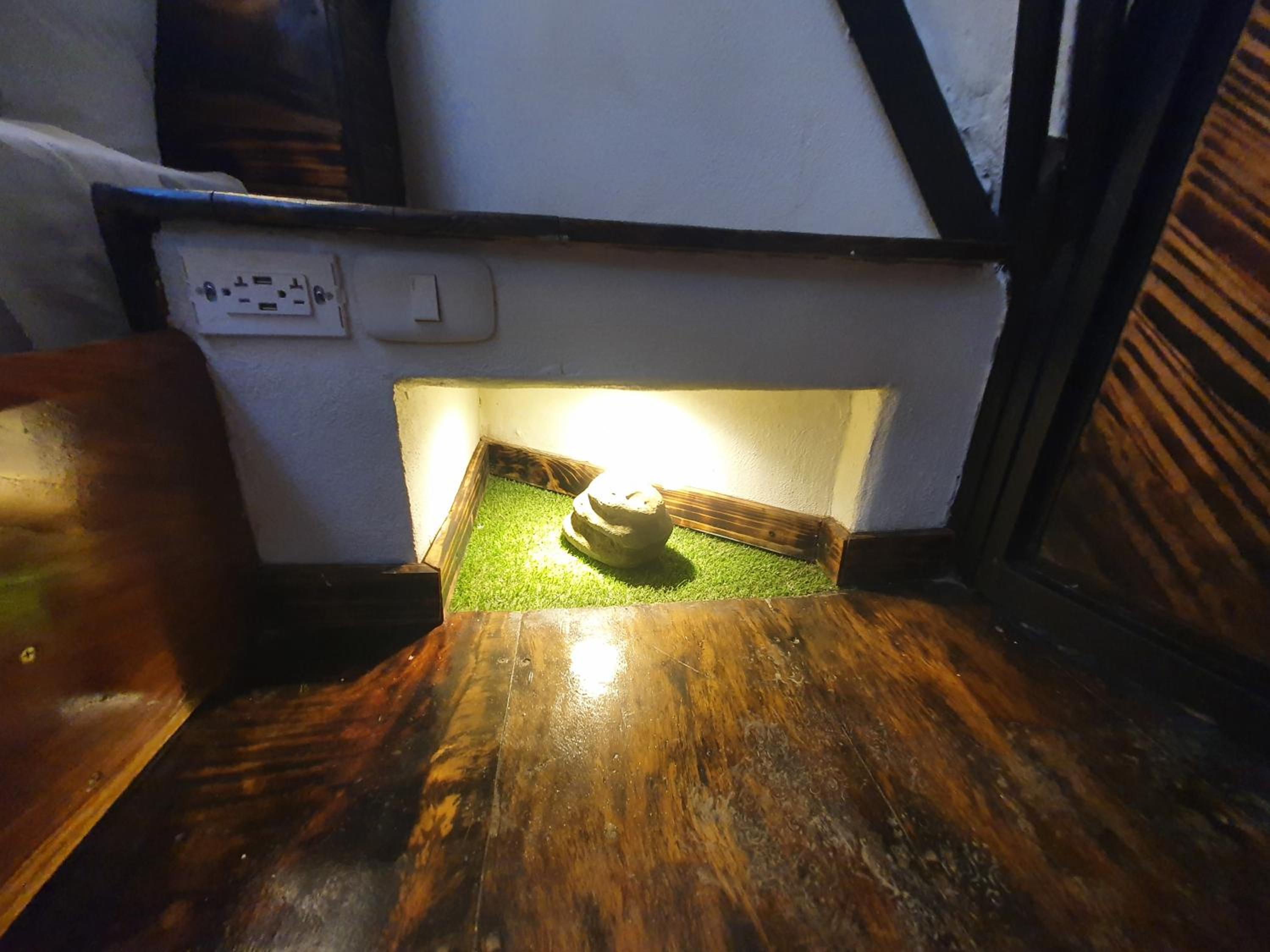 Photo 43