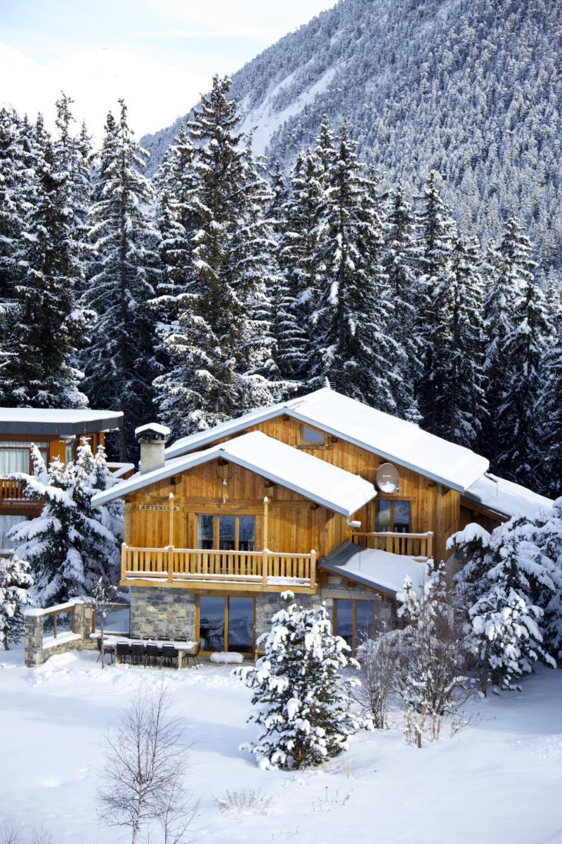 Chalet Artemisia