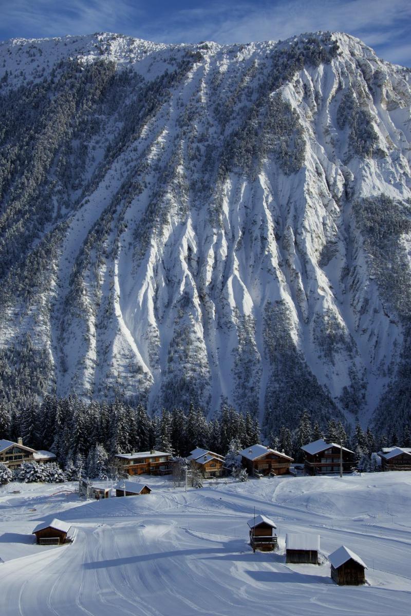 Chalet Artemisia