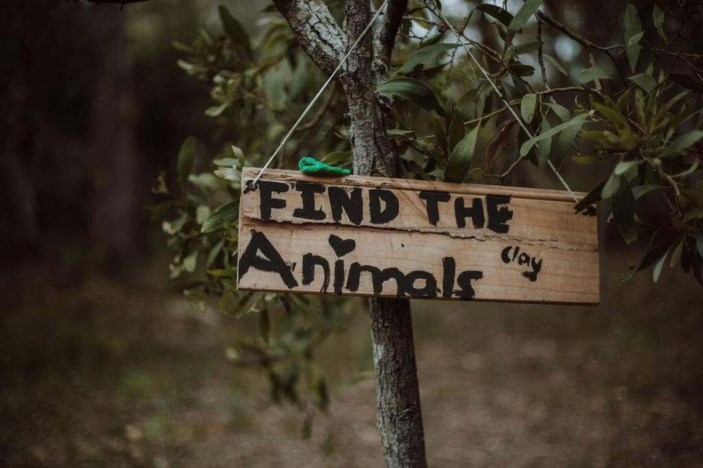 Three Little Pigs Escape - Main and Cabin - OFF GRID property
