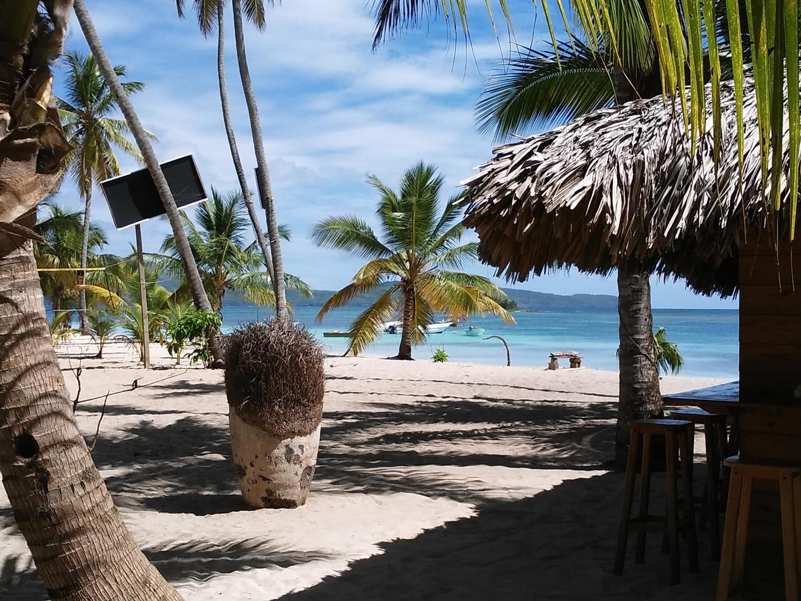 Hostel La Ballena Backpacker