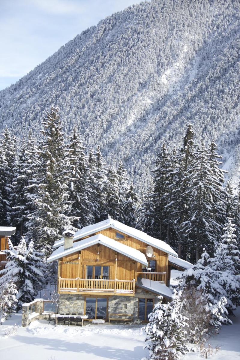 Chalet Artemisia photo 4