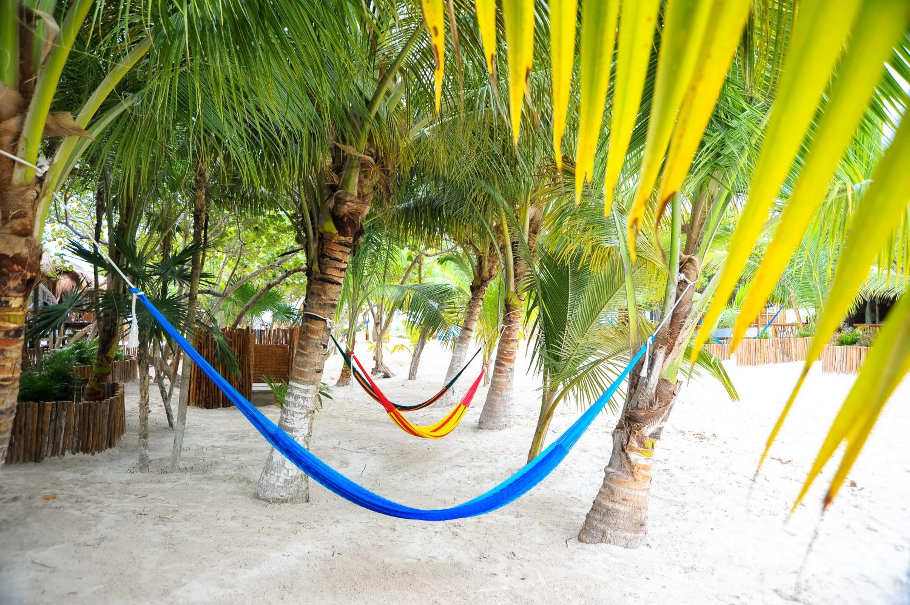 Villa Pescadores Tulum - Property Image 131