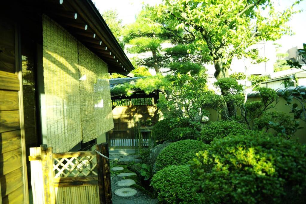 Photo 48