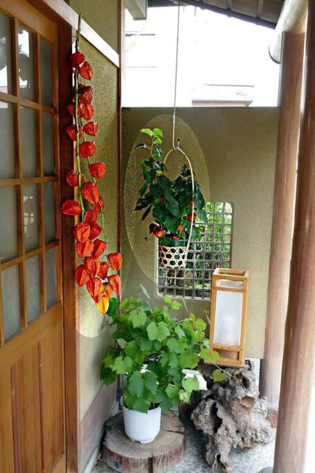 Photo 57