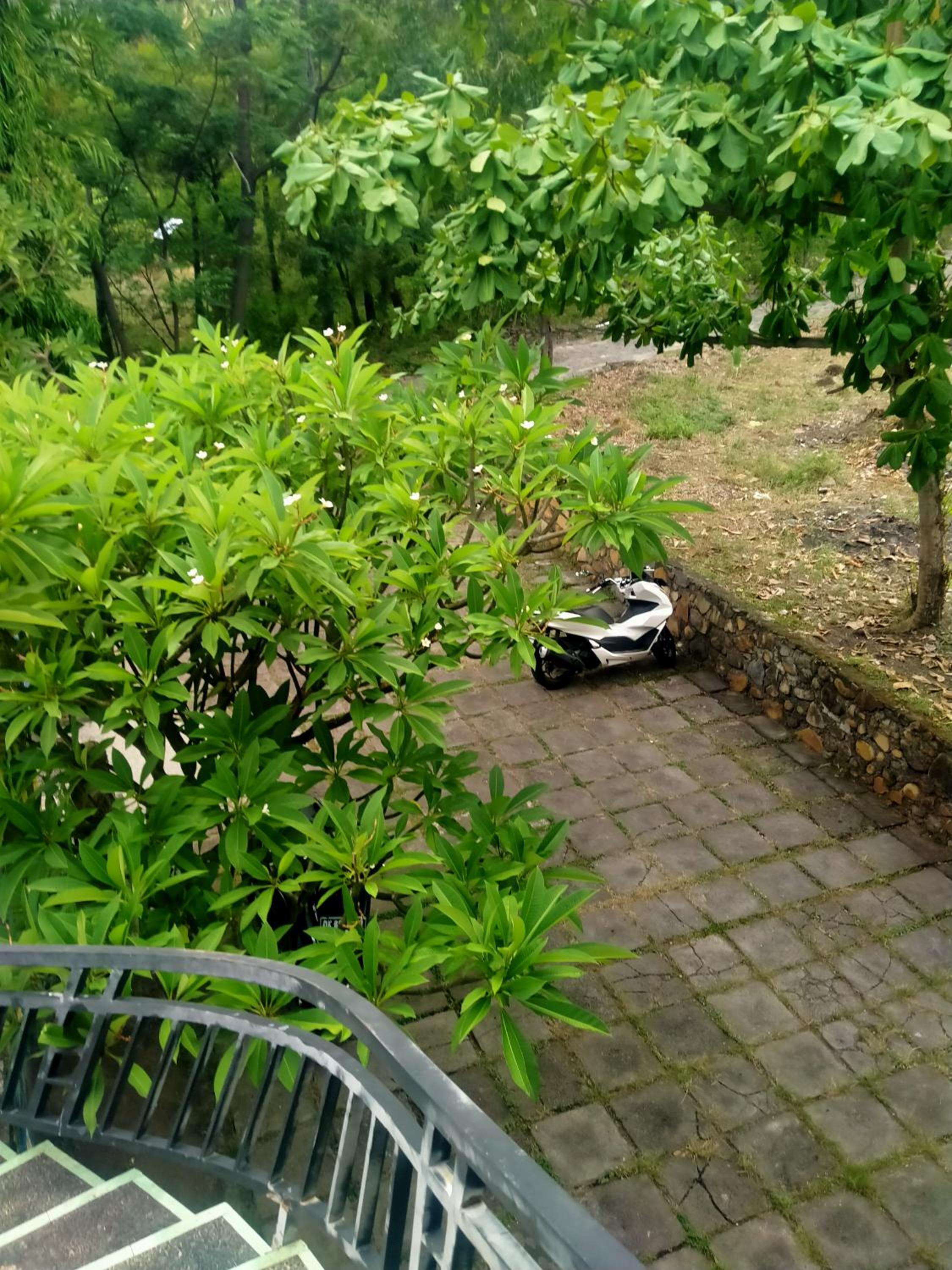 Photo 35