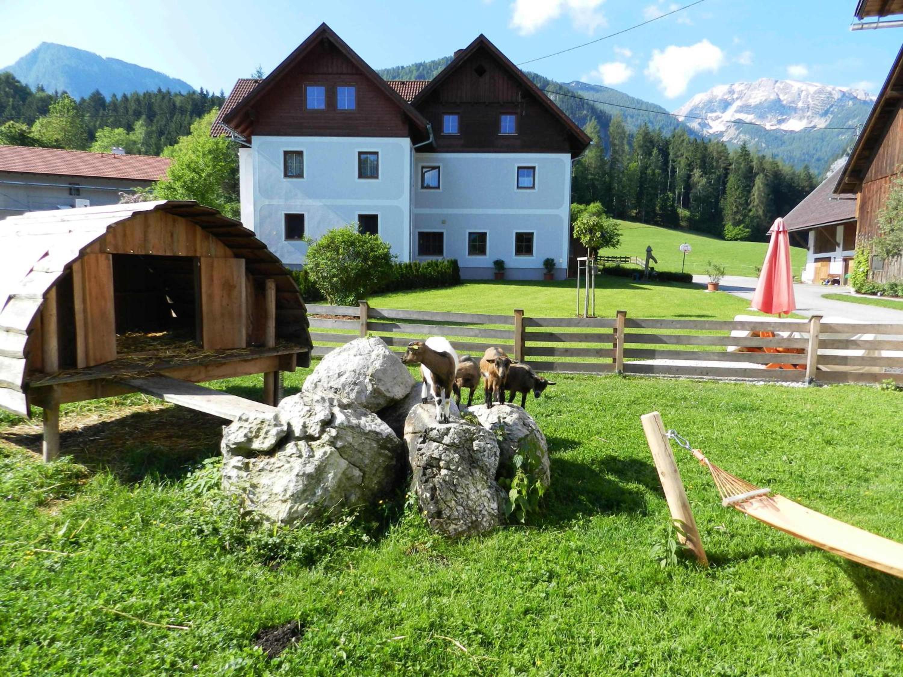 Baby- und Kinderbauernhof Riegler