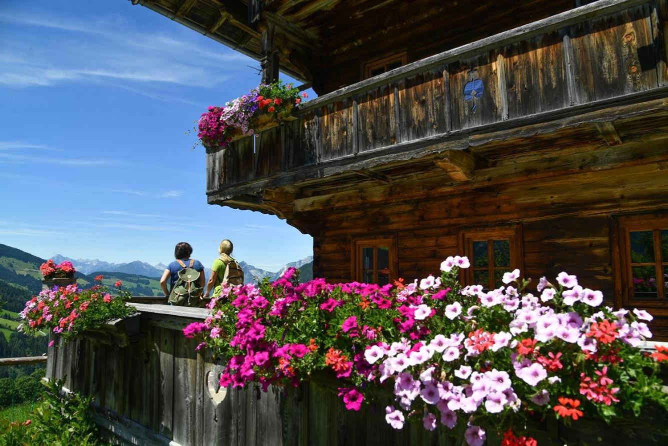 Sunny Mountain