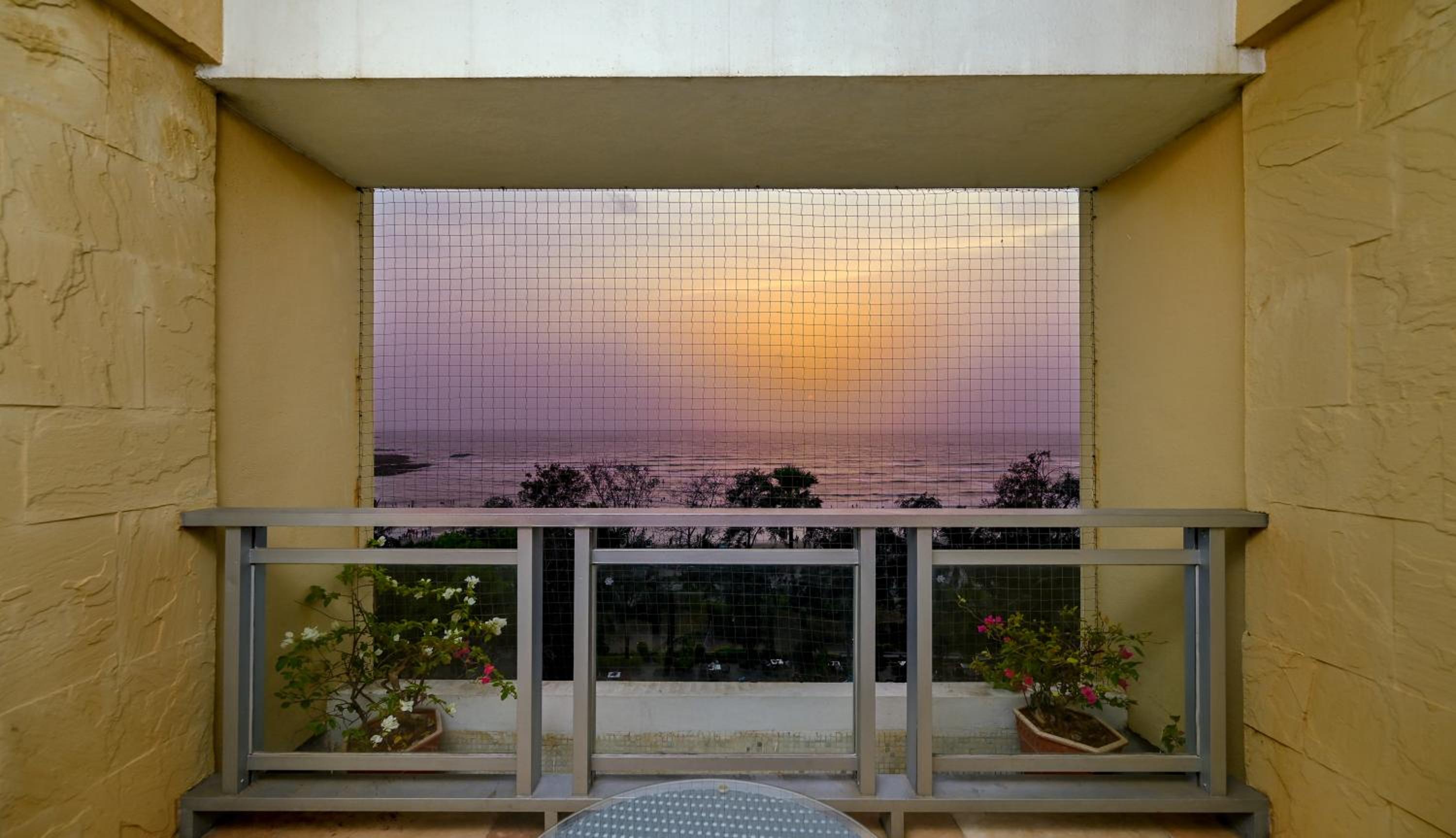 Photo 125 sur 214 de The Resort