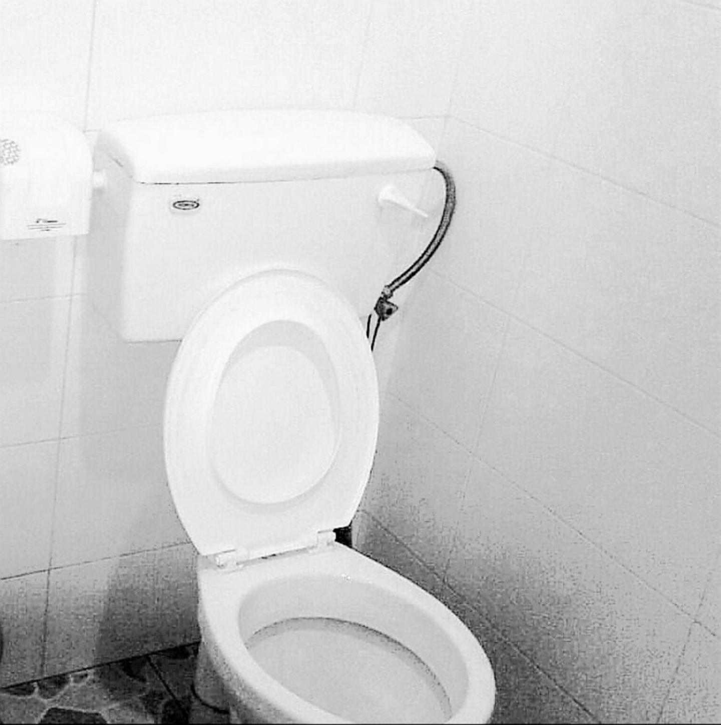 Photo 52