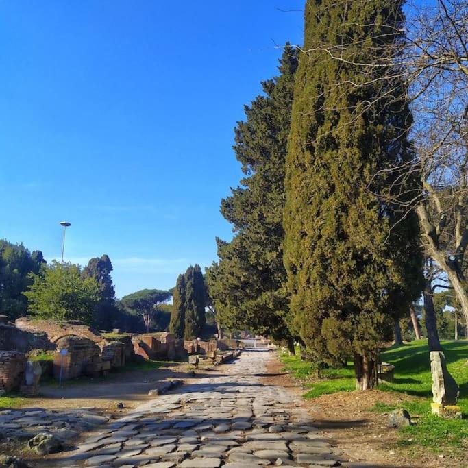 Per Antiqua Itinere, photo 41