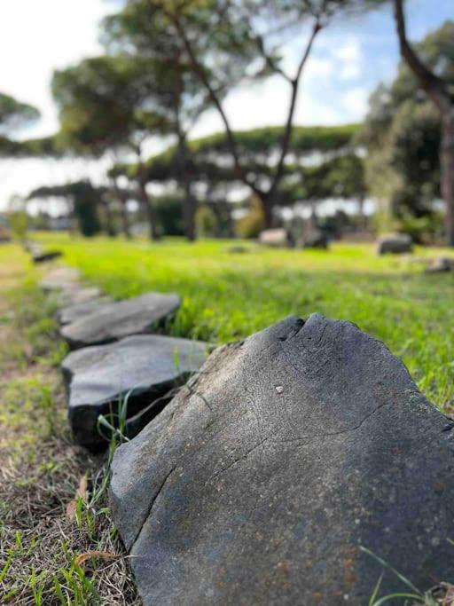 Per Antiqua Itinere, photo 8