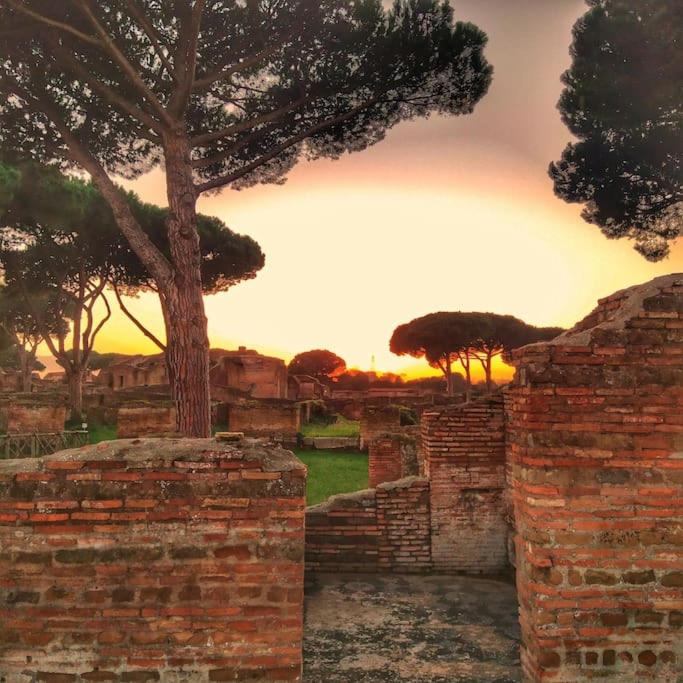 Per Antiqua Itinere, photo 17