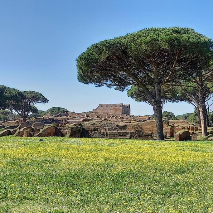 Per Antiqua Itinere, photo 33