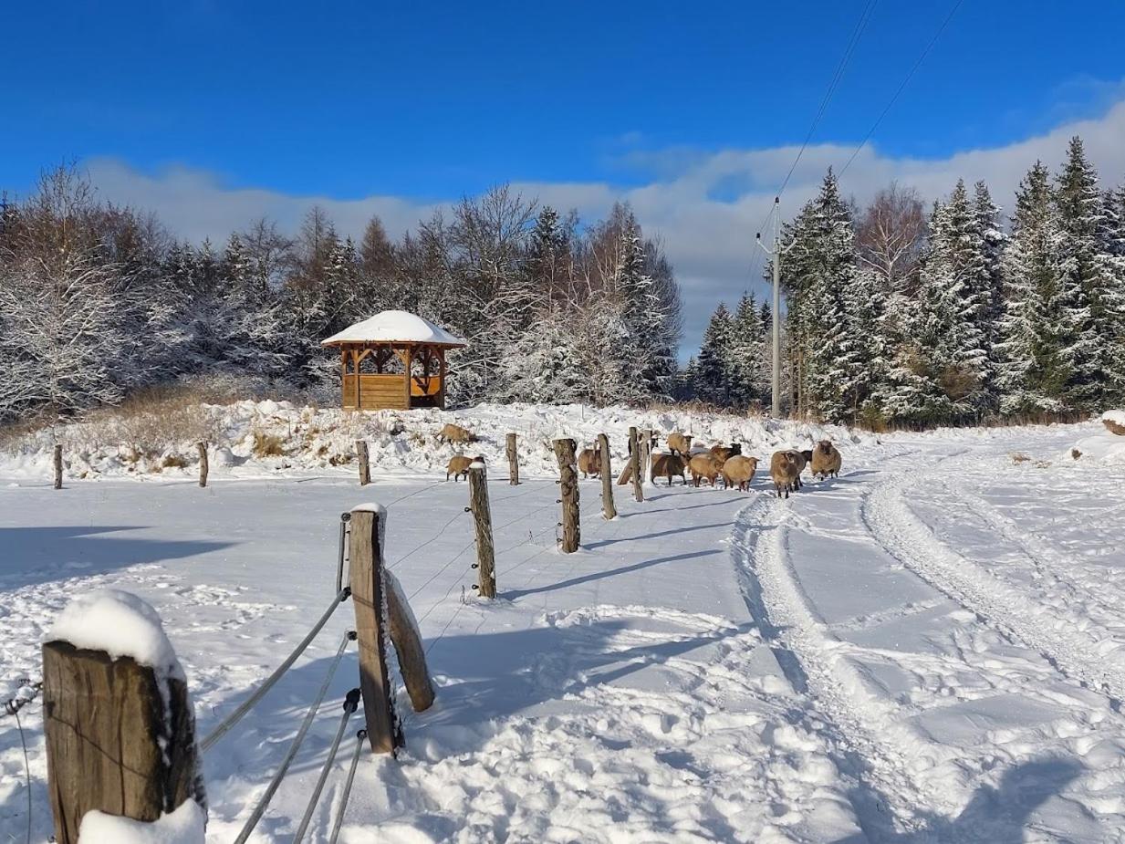 CHALET BORŮVKA - biofarma na samotě v lesích view 3