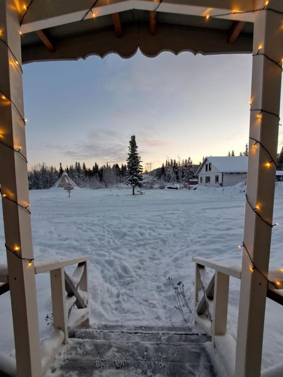 Aurora River Camp Glass igloos & cabins view 3