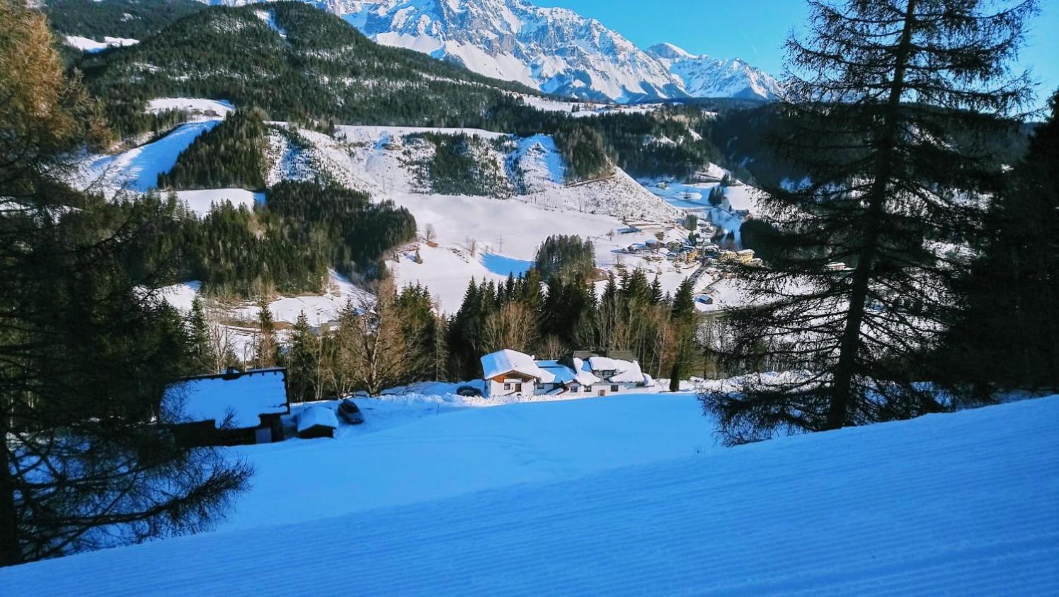 Ahornhütte