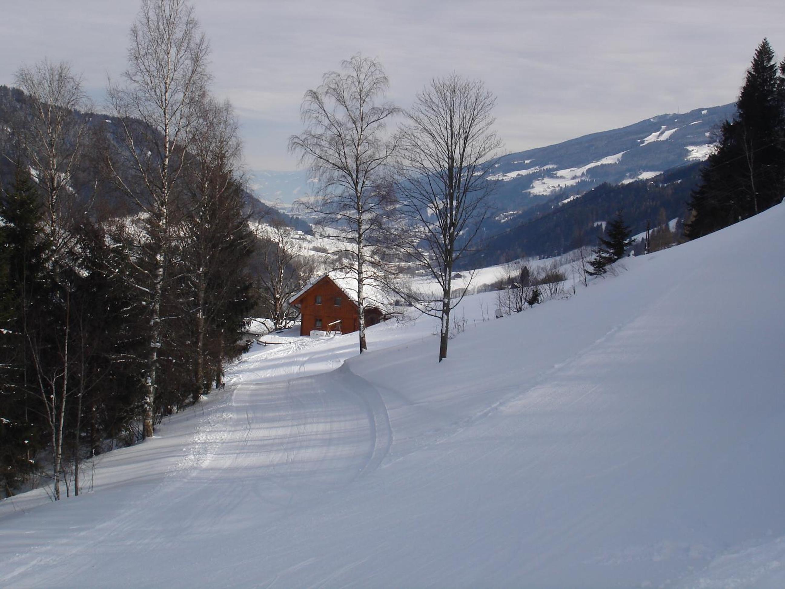Ahornhütte