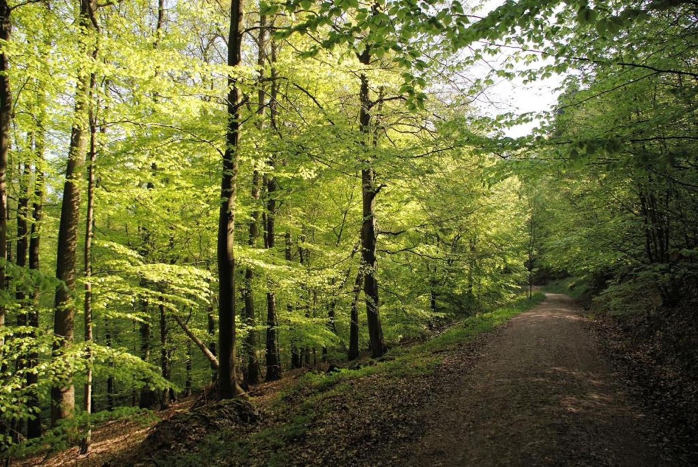 Ferienhäuser Bellana