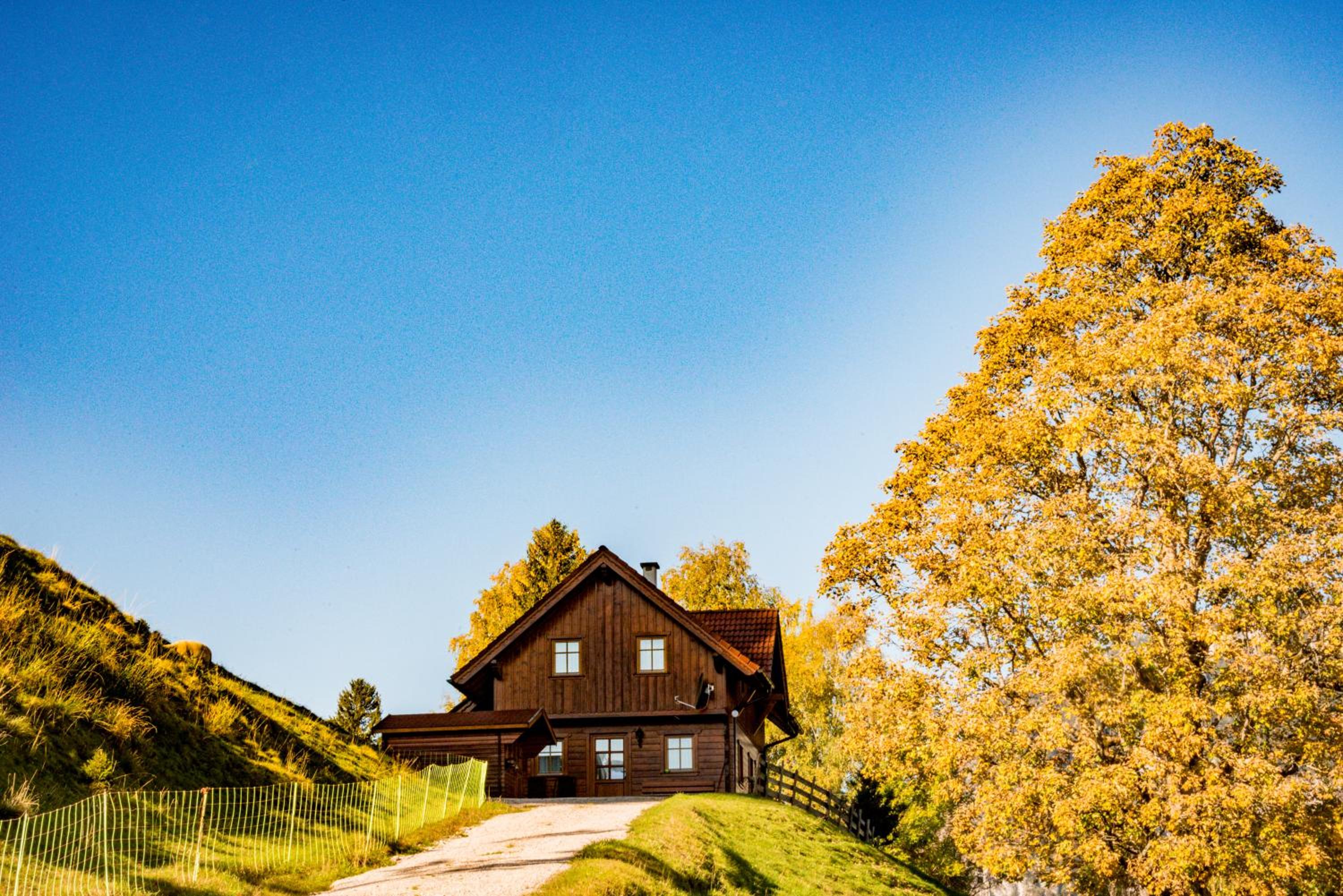 Ahornhütte