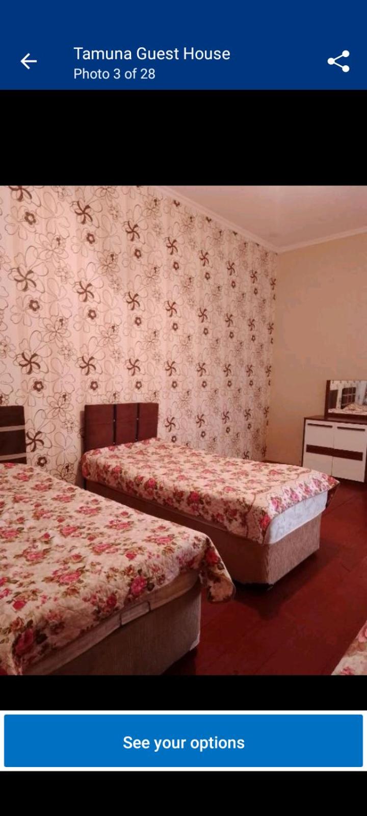 Tamuna Guest House view 3