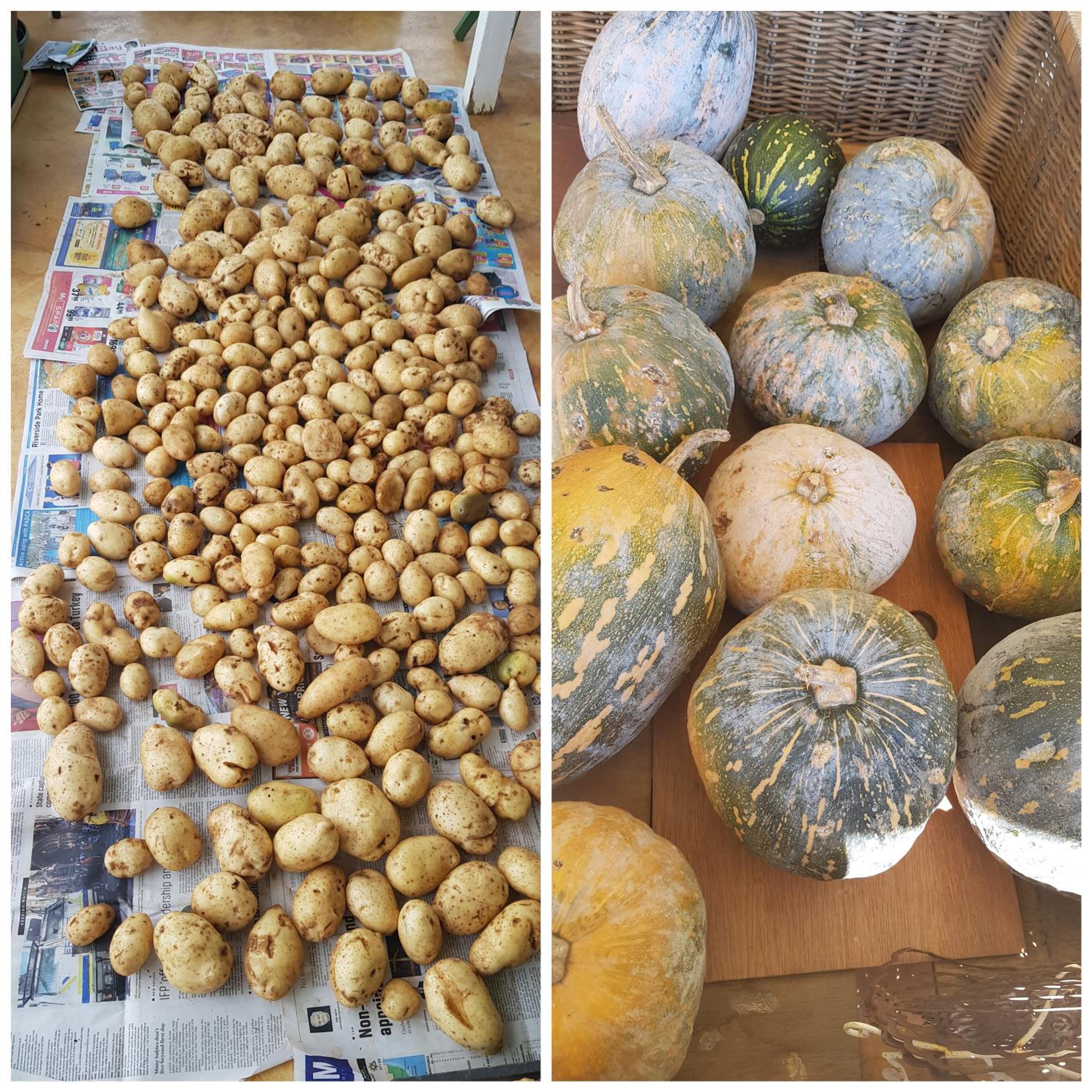 ReRooted Permaculture Farmstay
