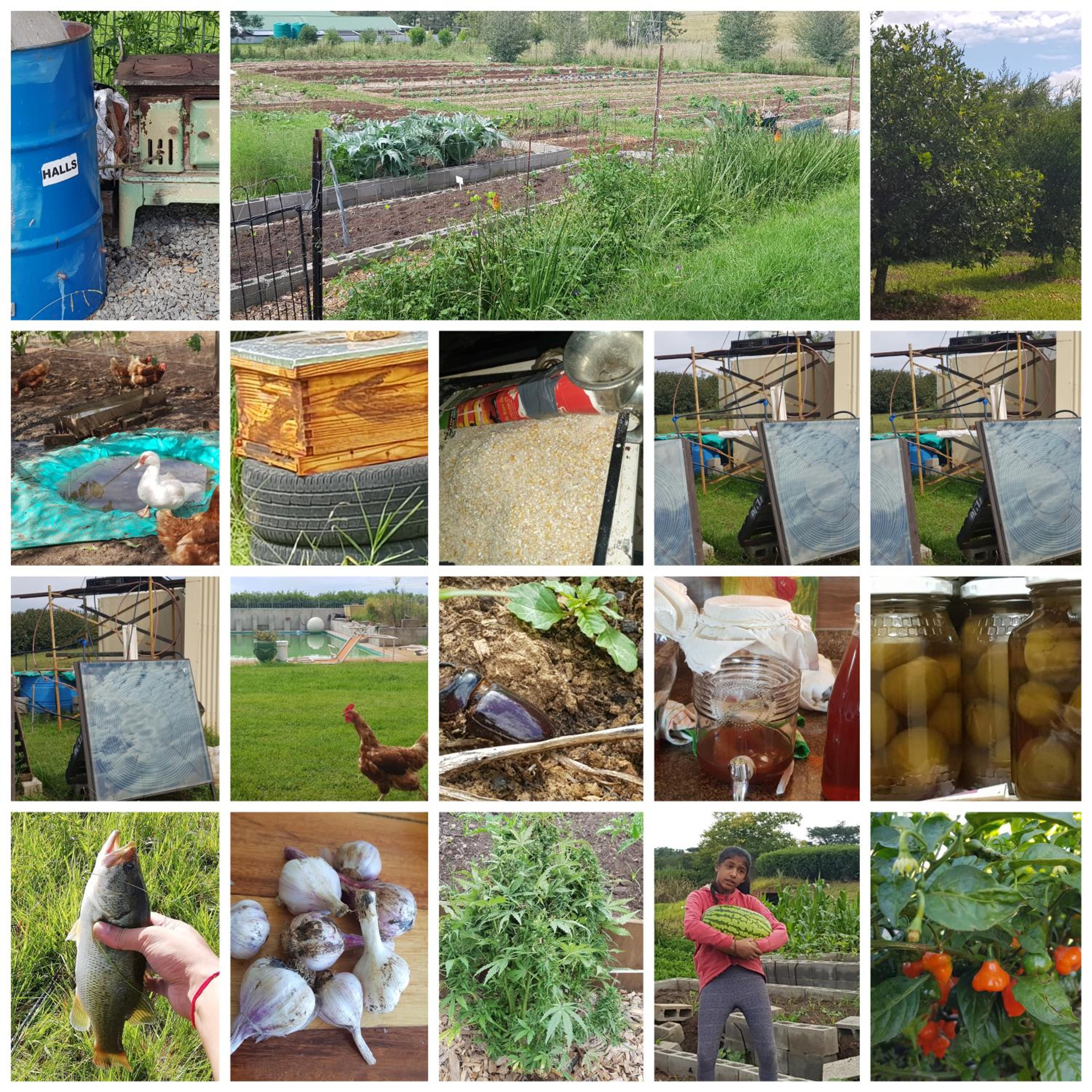 ReRooted Permaculture Farmstay