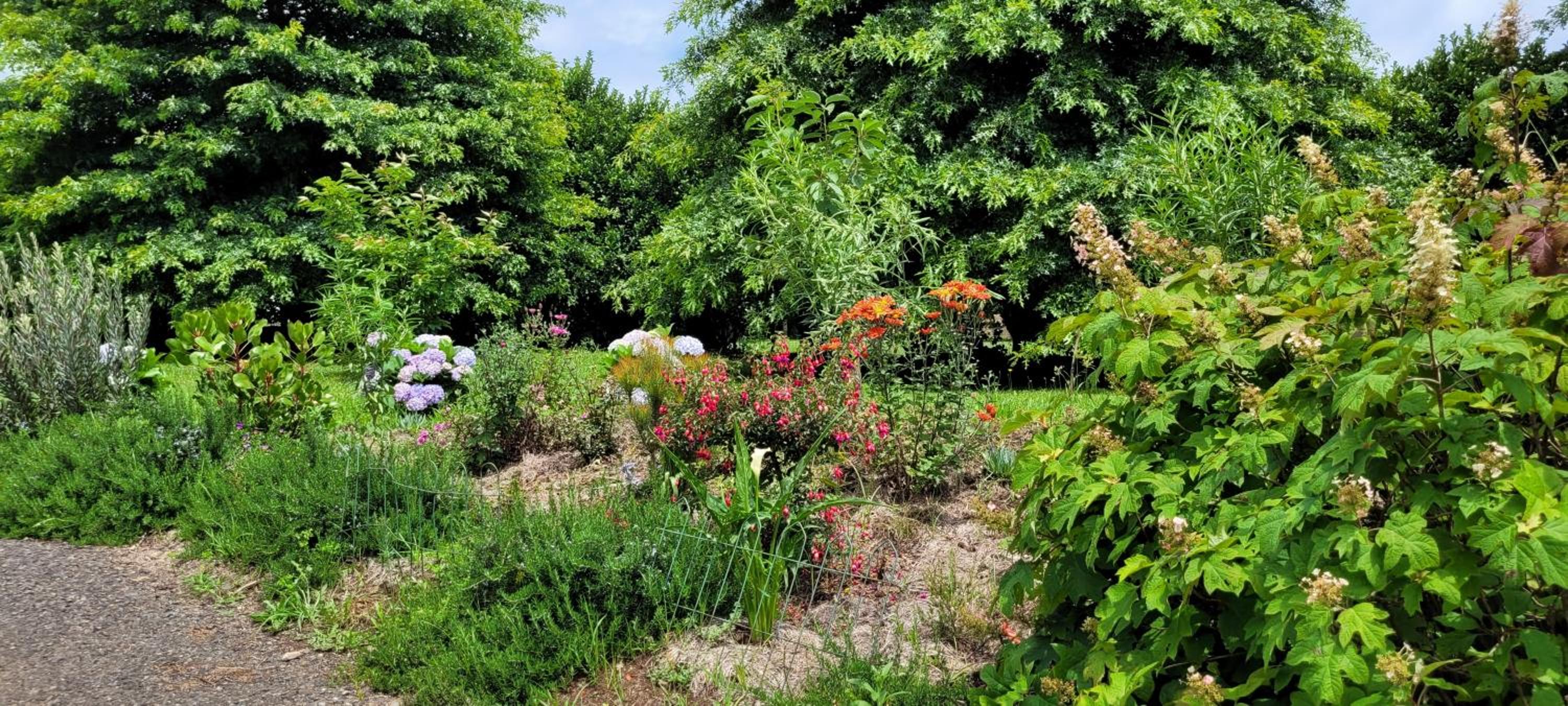 ReRooted Permaculture Farmstay