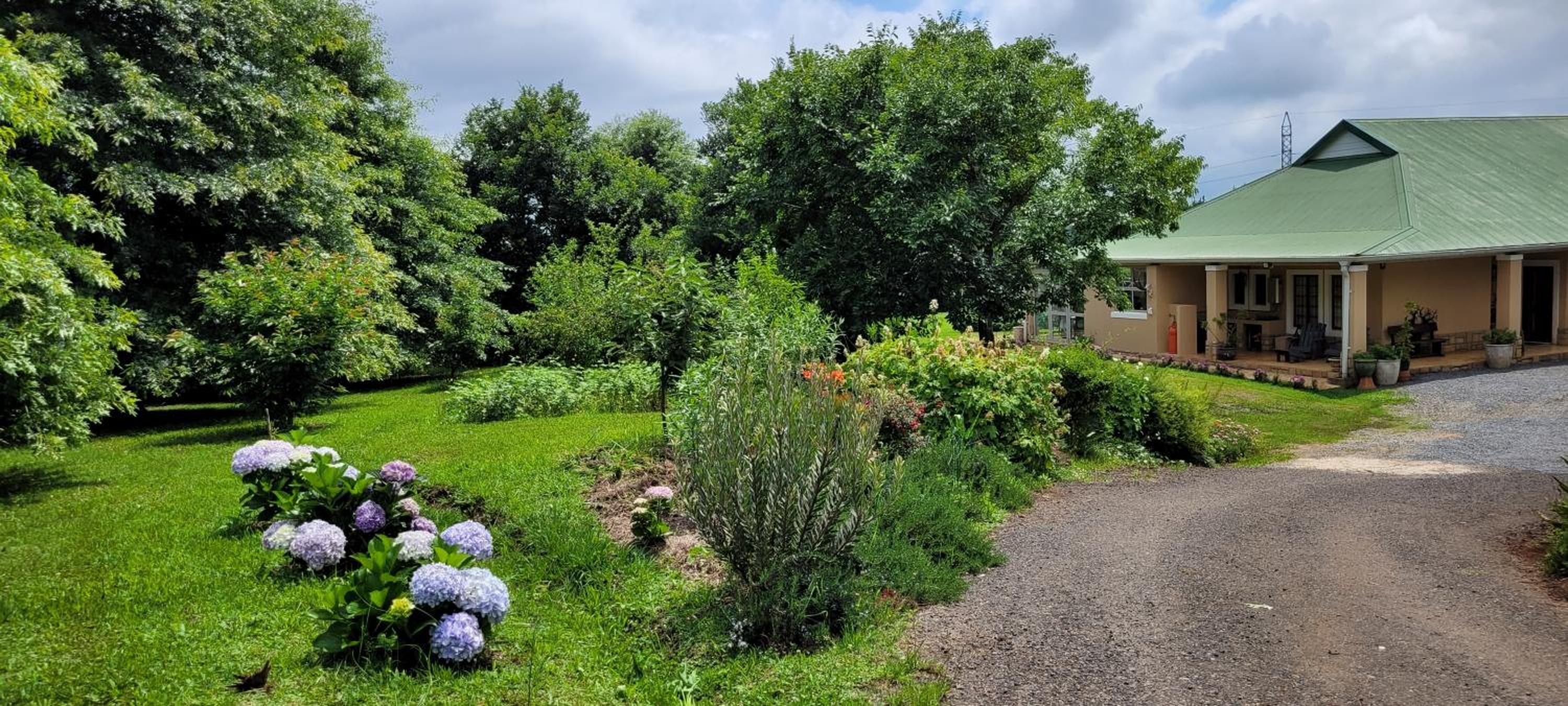 ReRooted Permaculture Farmstay