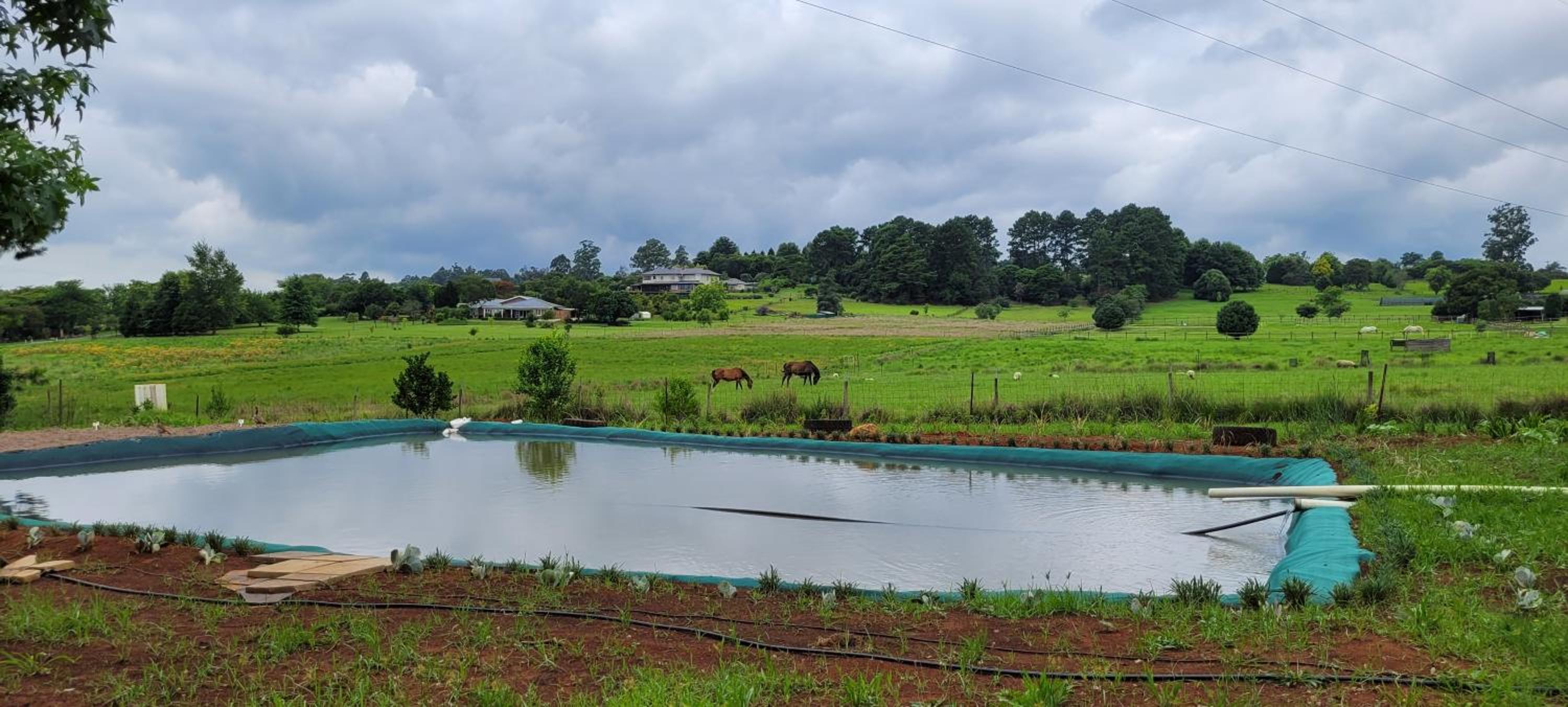 ReRooted Permaculture Farmstay