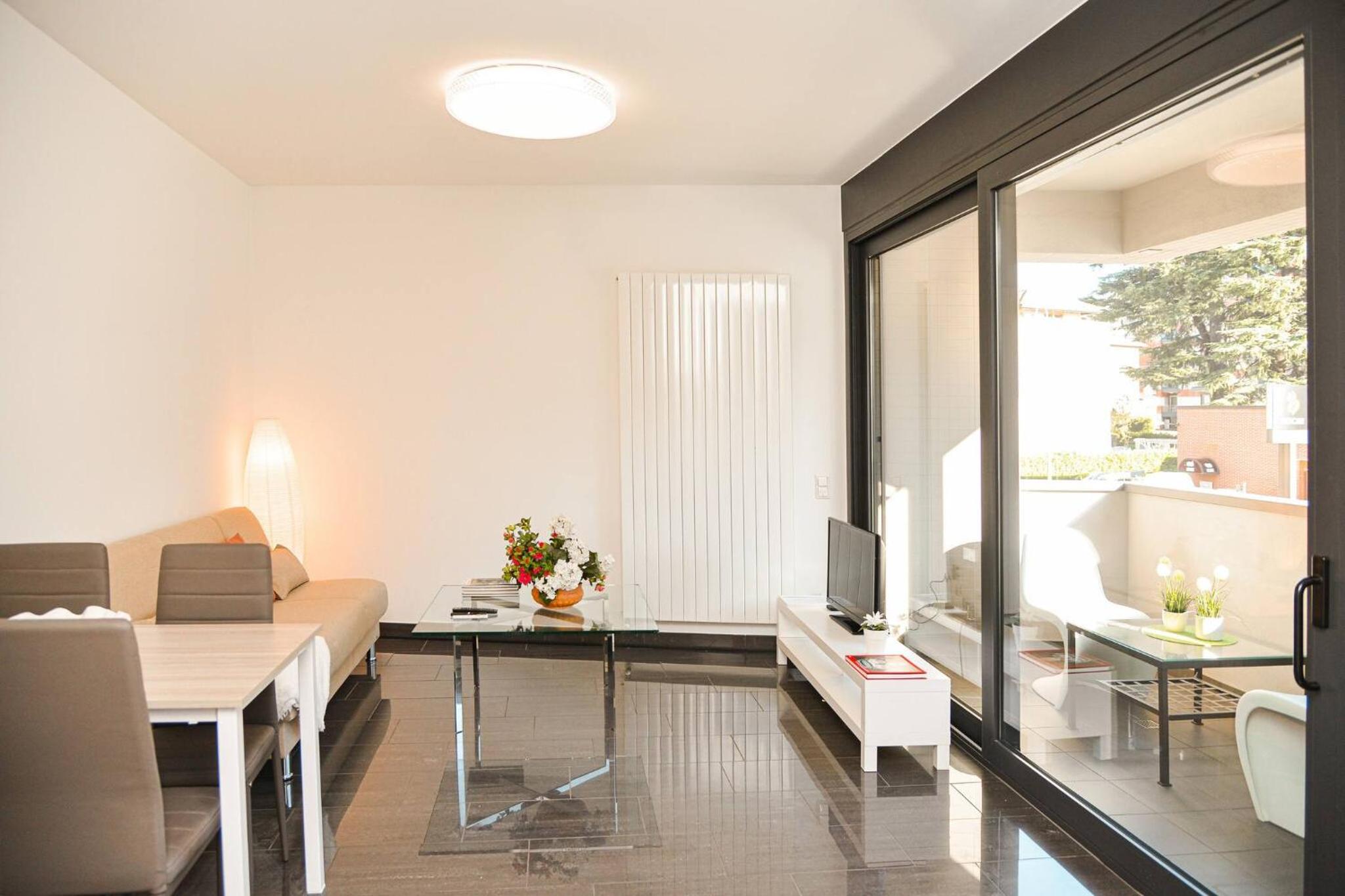 Central Plaza Apartment Br in Lugano view 3