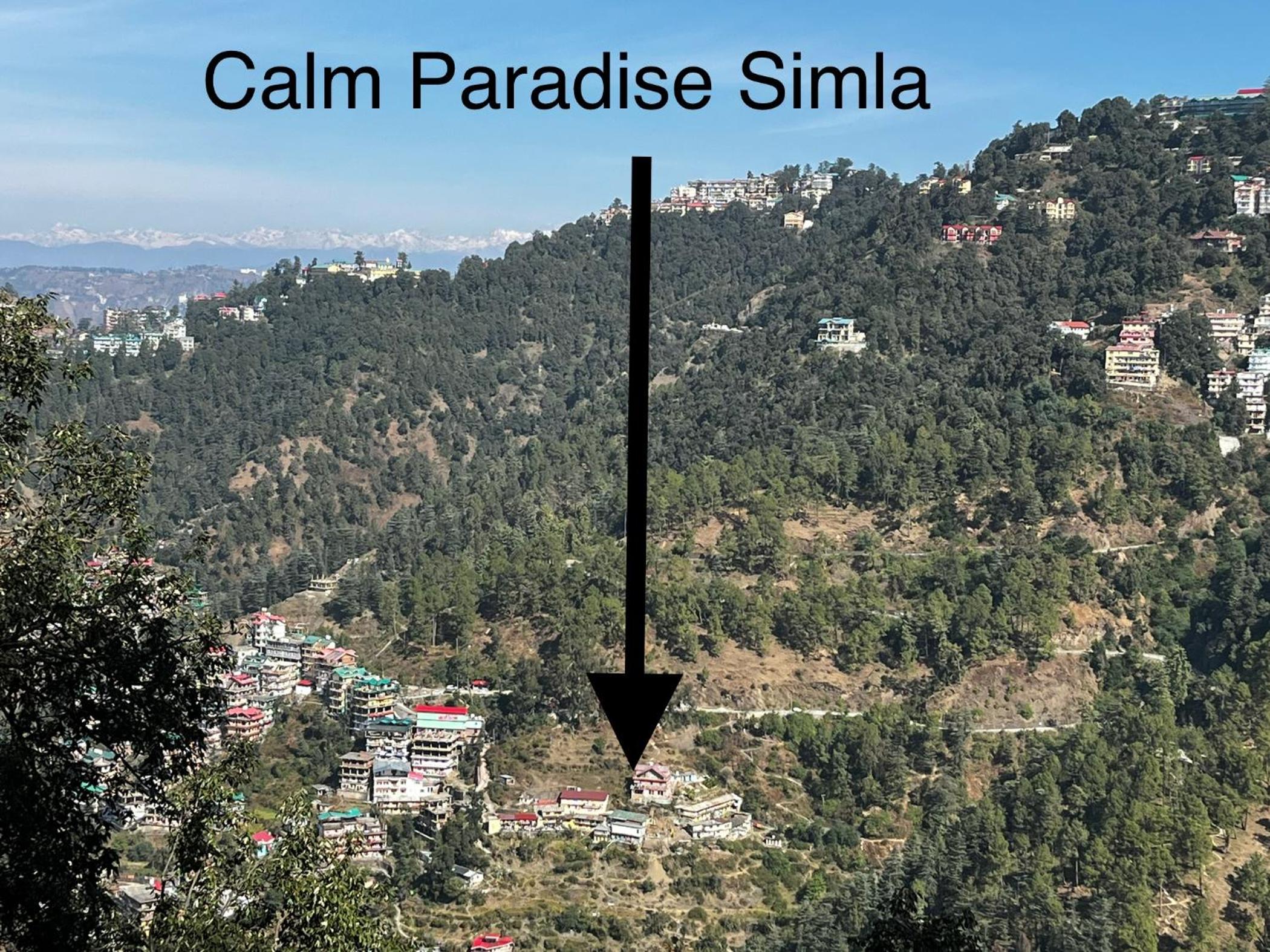Calm Paradise, photo 34