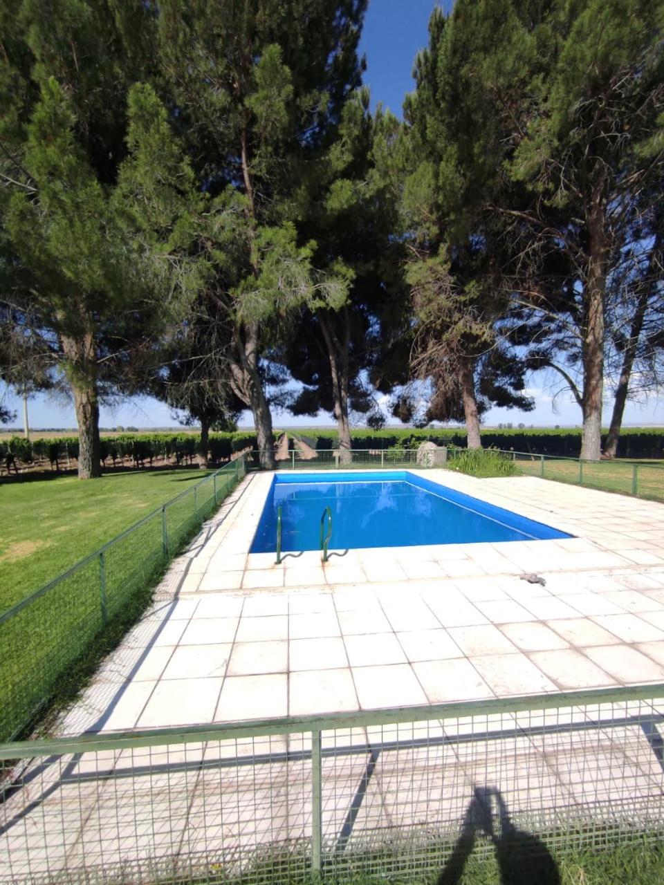 Cabañas Entre Hileras