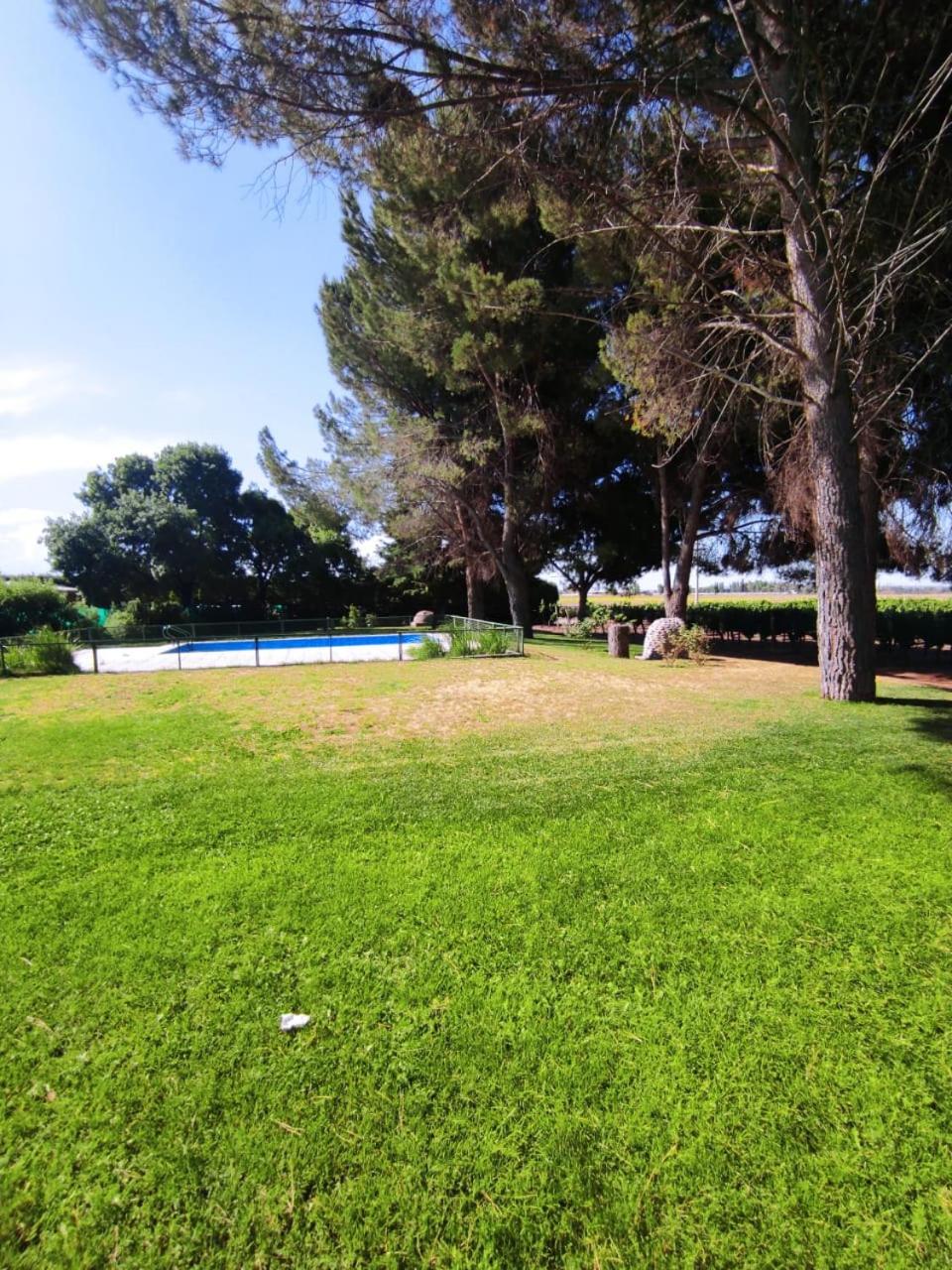 Cabañas Entre Hileras