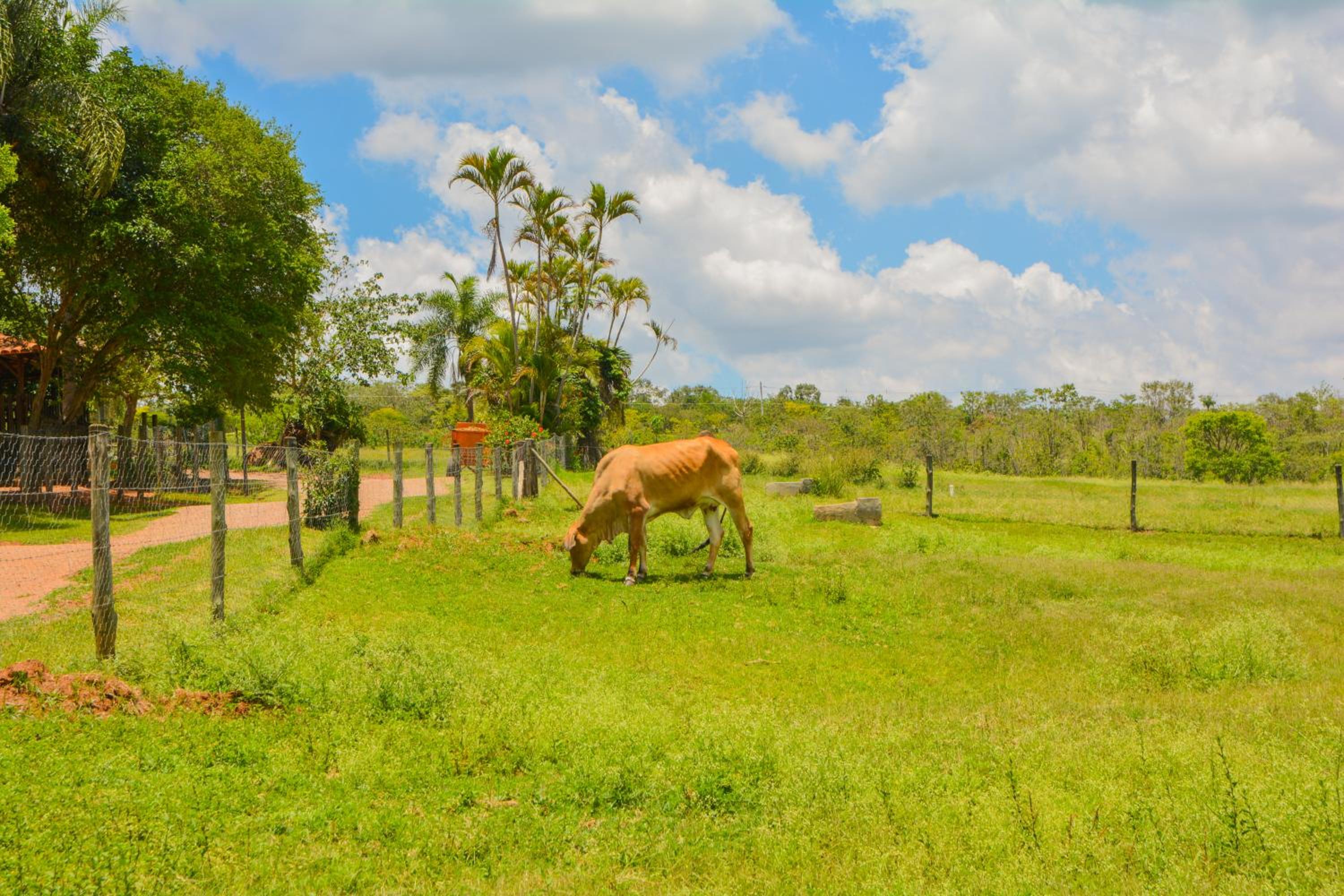 Fazenda Capoava