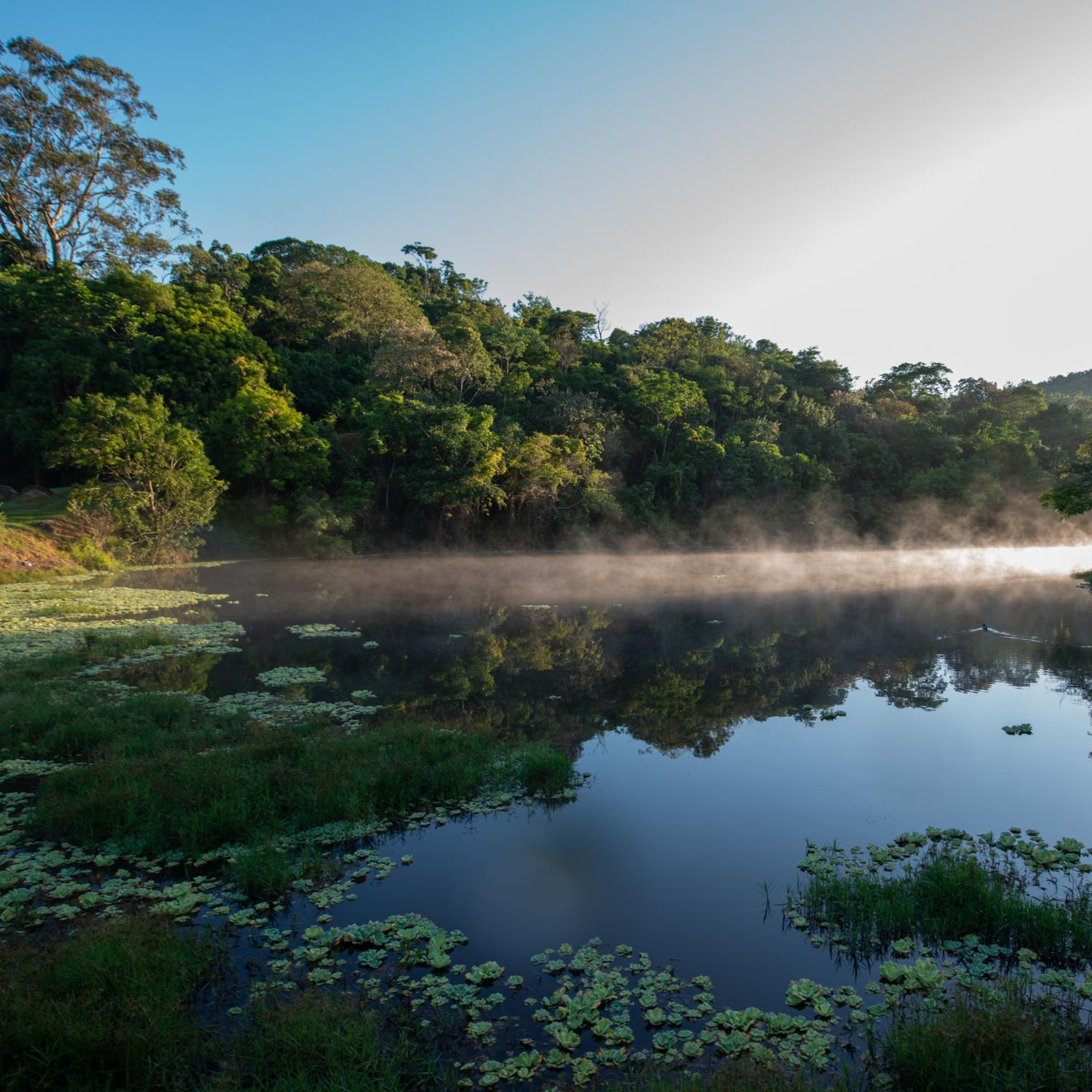 Fazenda Capoava