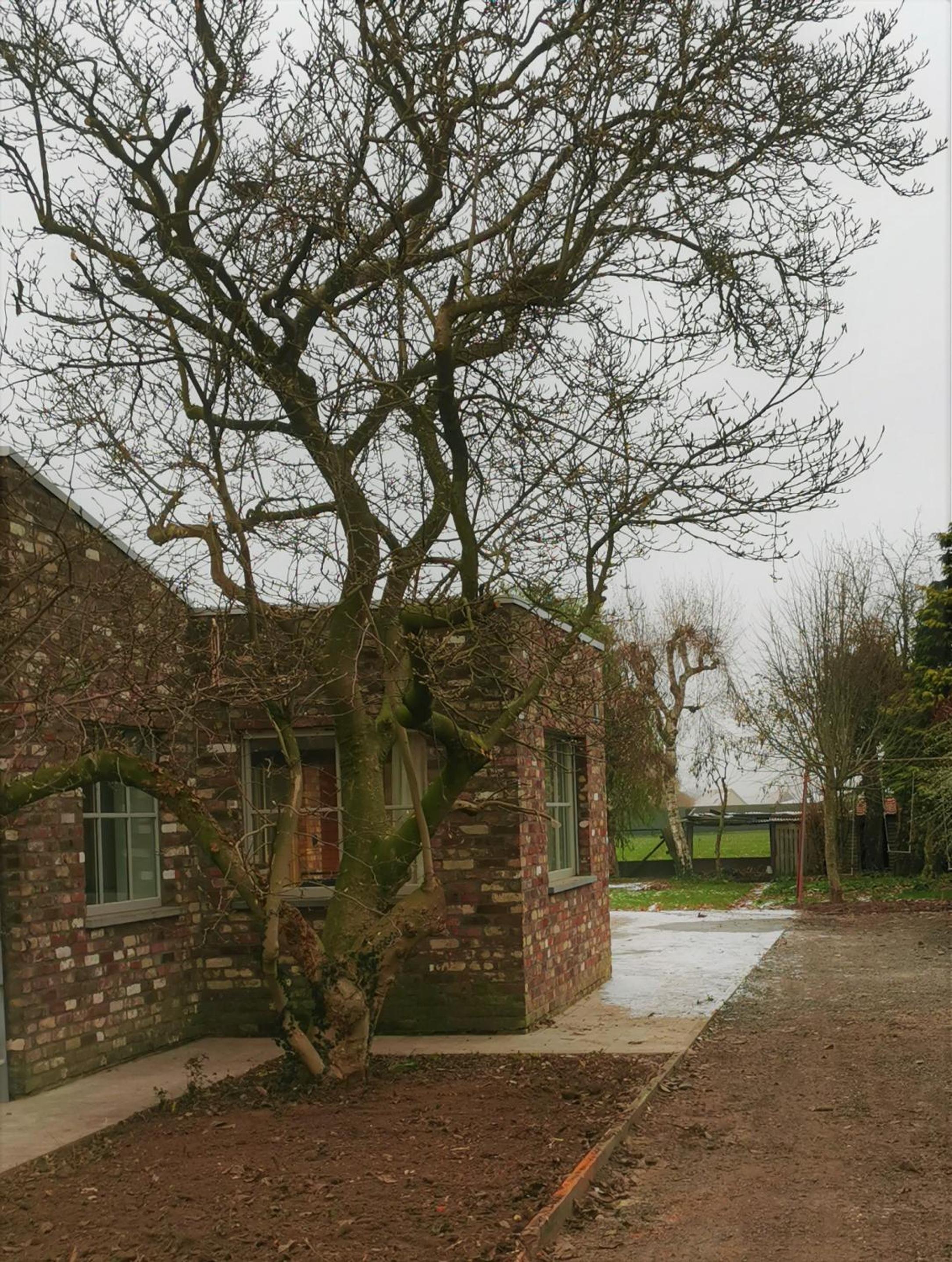 Vakantiewoning Henri Vleteren-Ieper