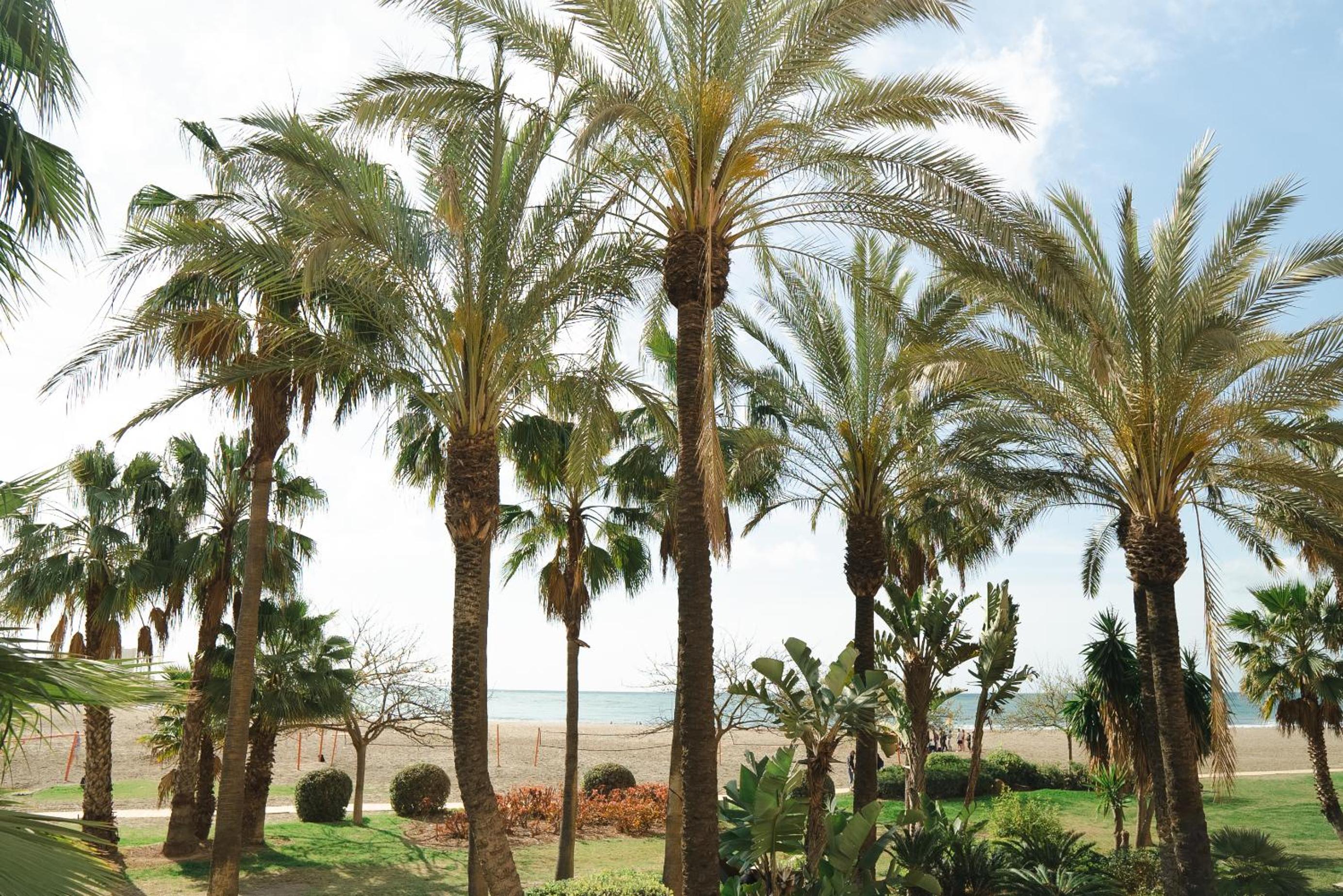 VB Amapolas 2BDR Sea views & relax view 5