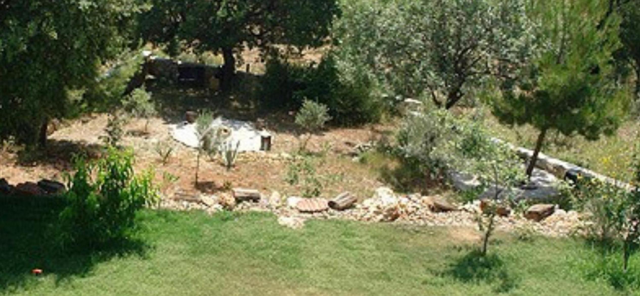 Photo 28