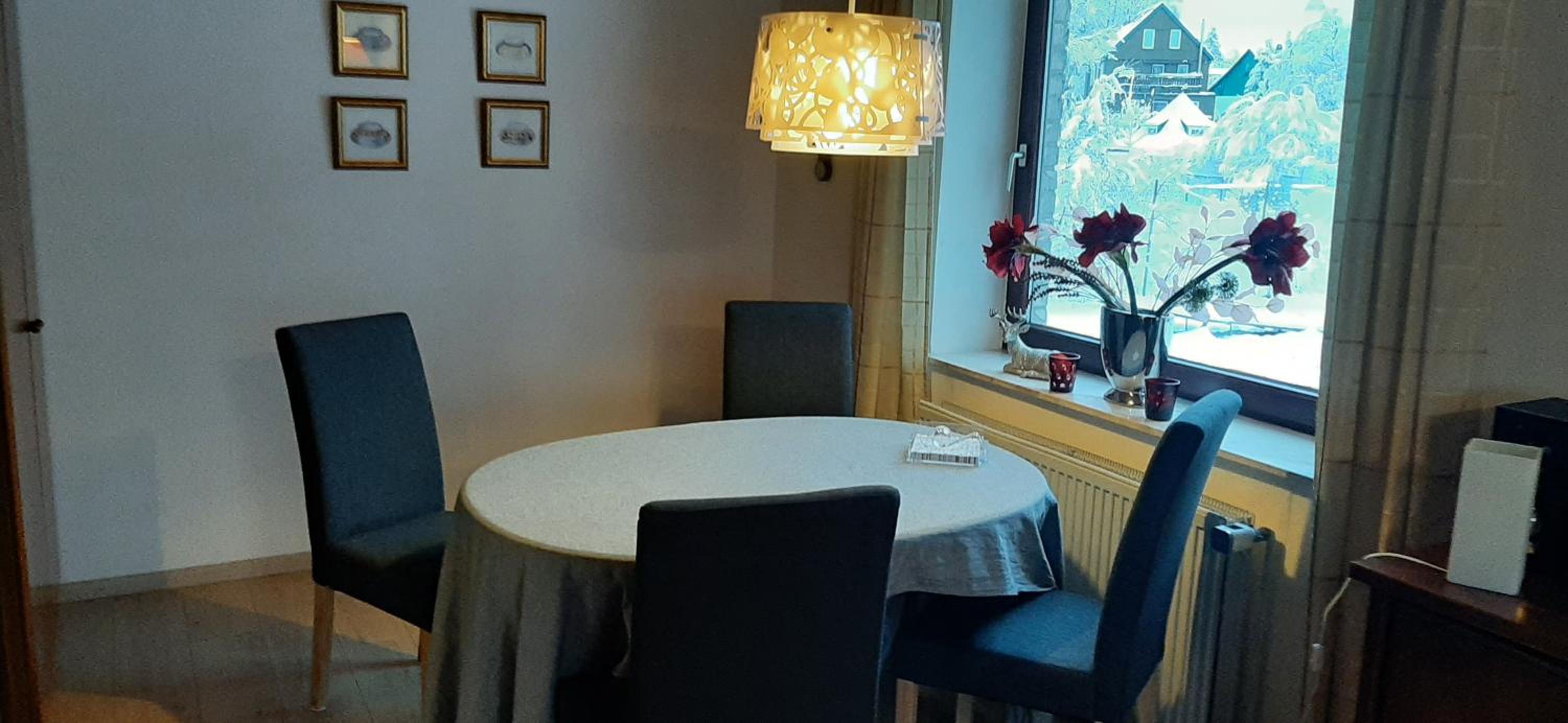 Ferienwohnungen Haus am Karpfenteich