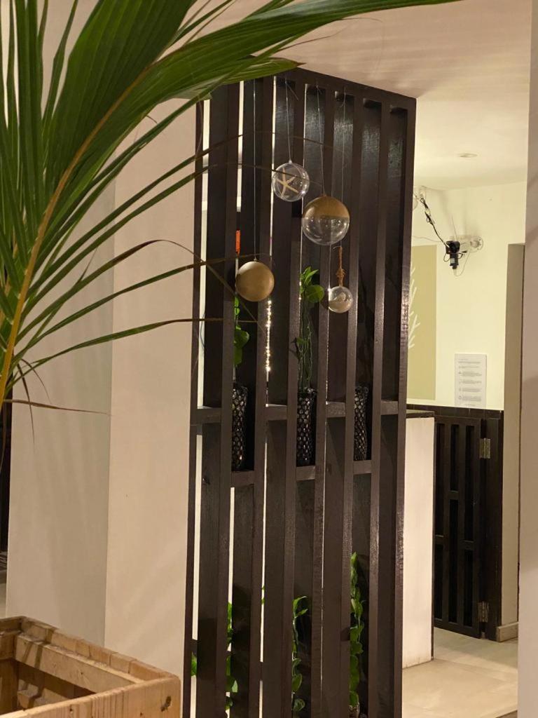 Canopus Retreat Thulusdhoo