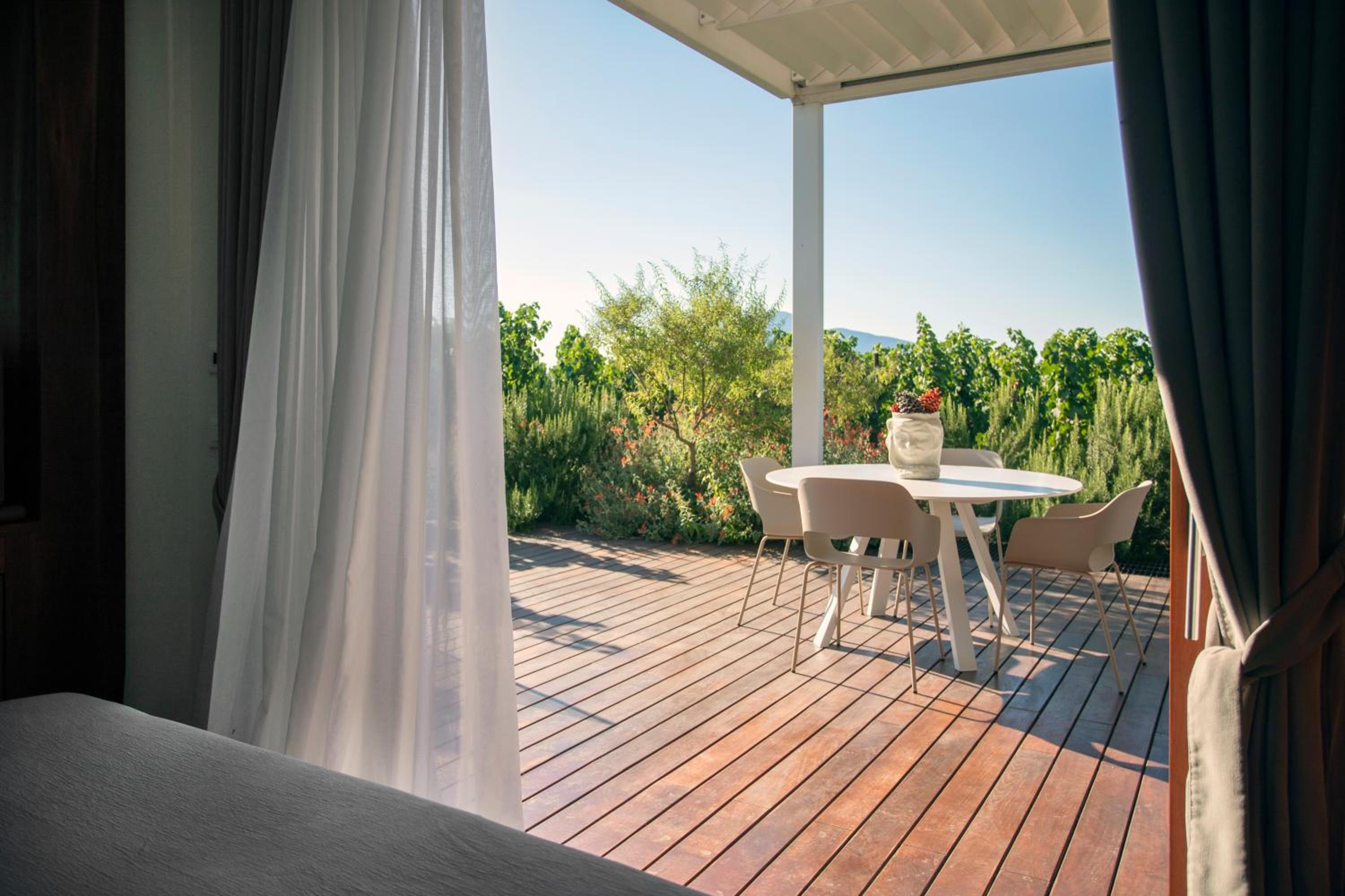 Tenuta di Castellaro Winery & Resort photo 5