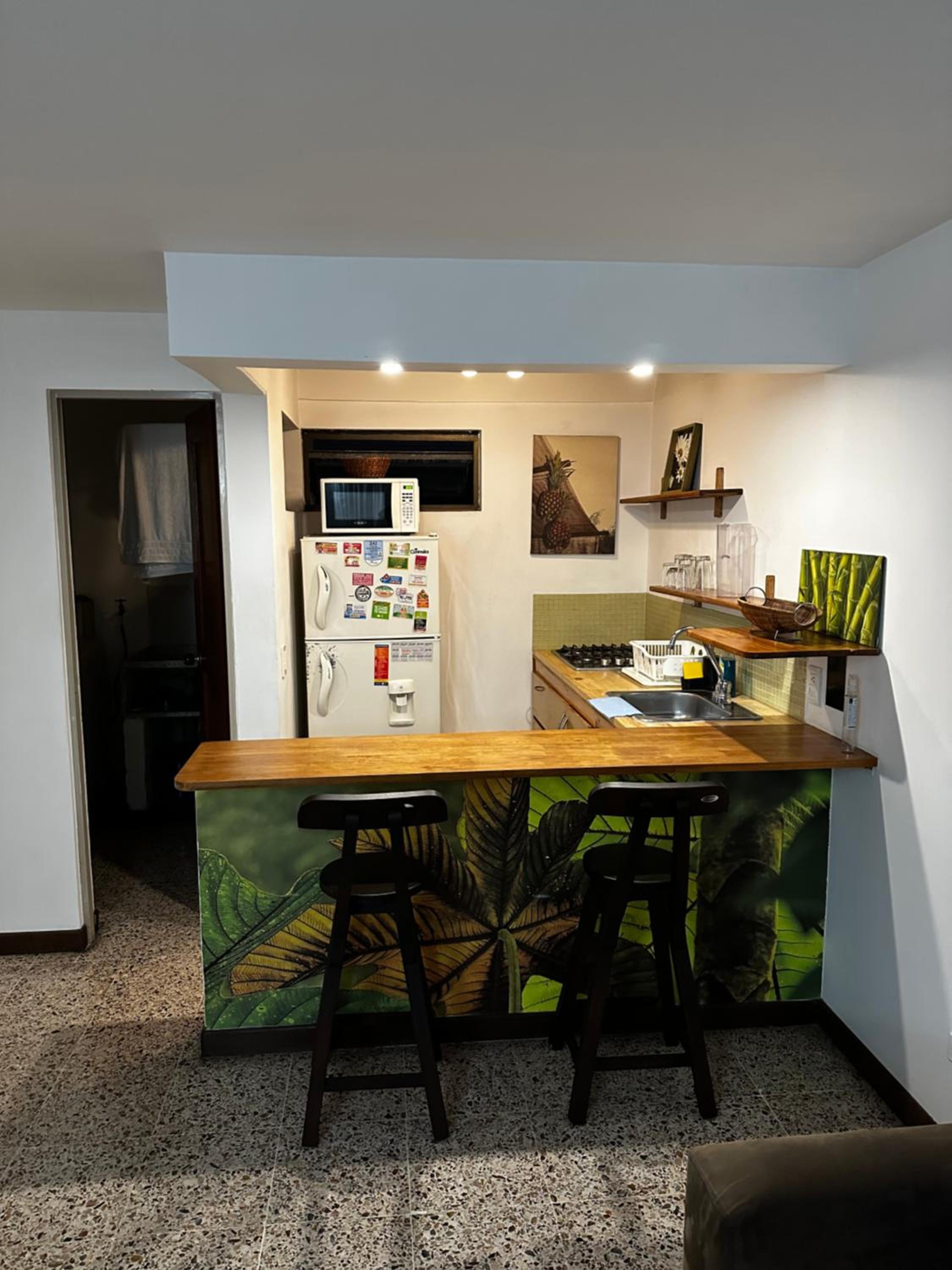Gorgeous Apartment in El Peñon!