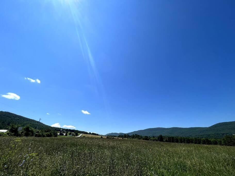 Photo 24