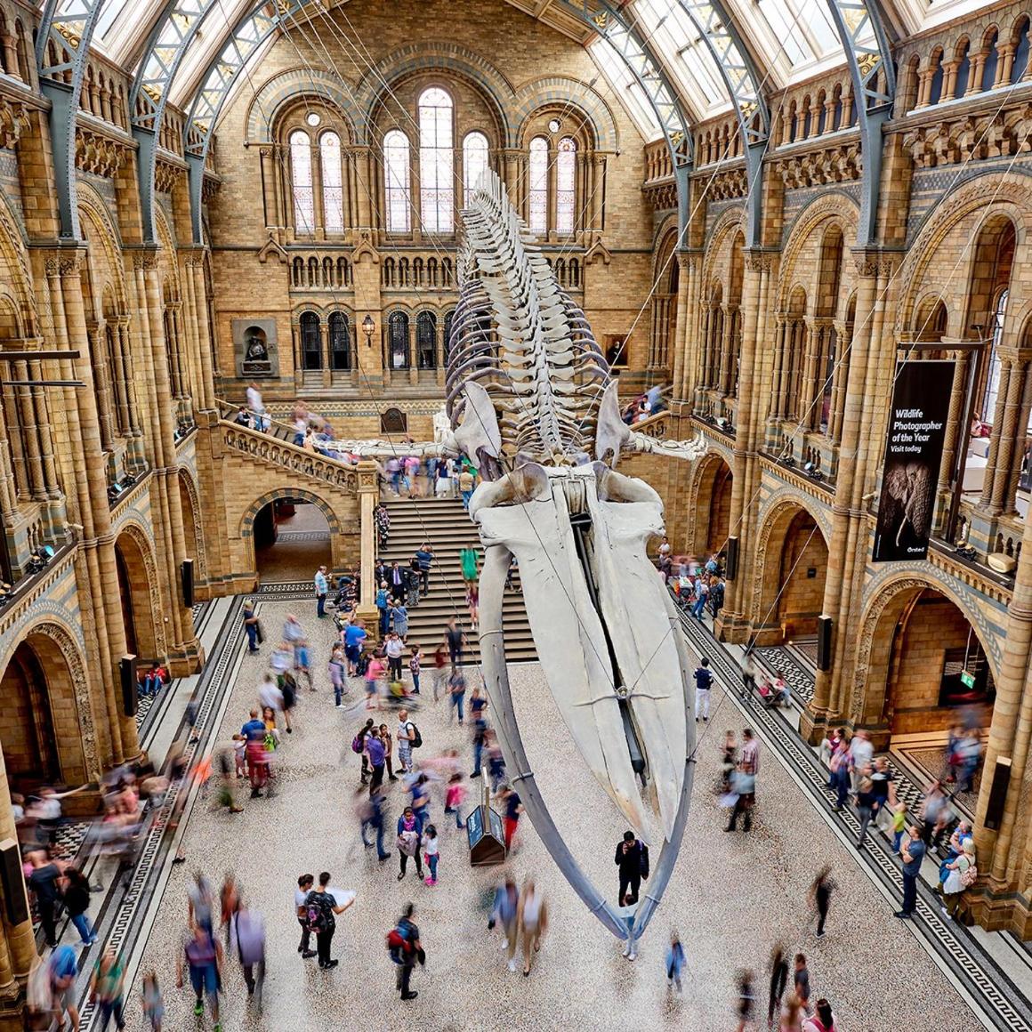 ［OLYMPIA MUSEUMS KENSINGTON］STUDIO IN LONDON