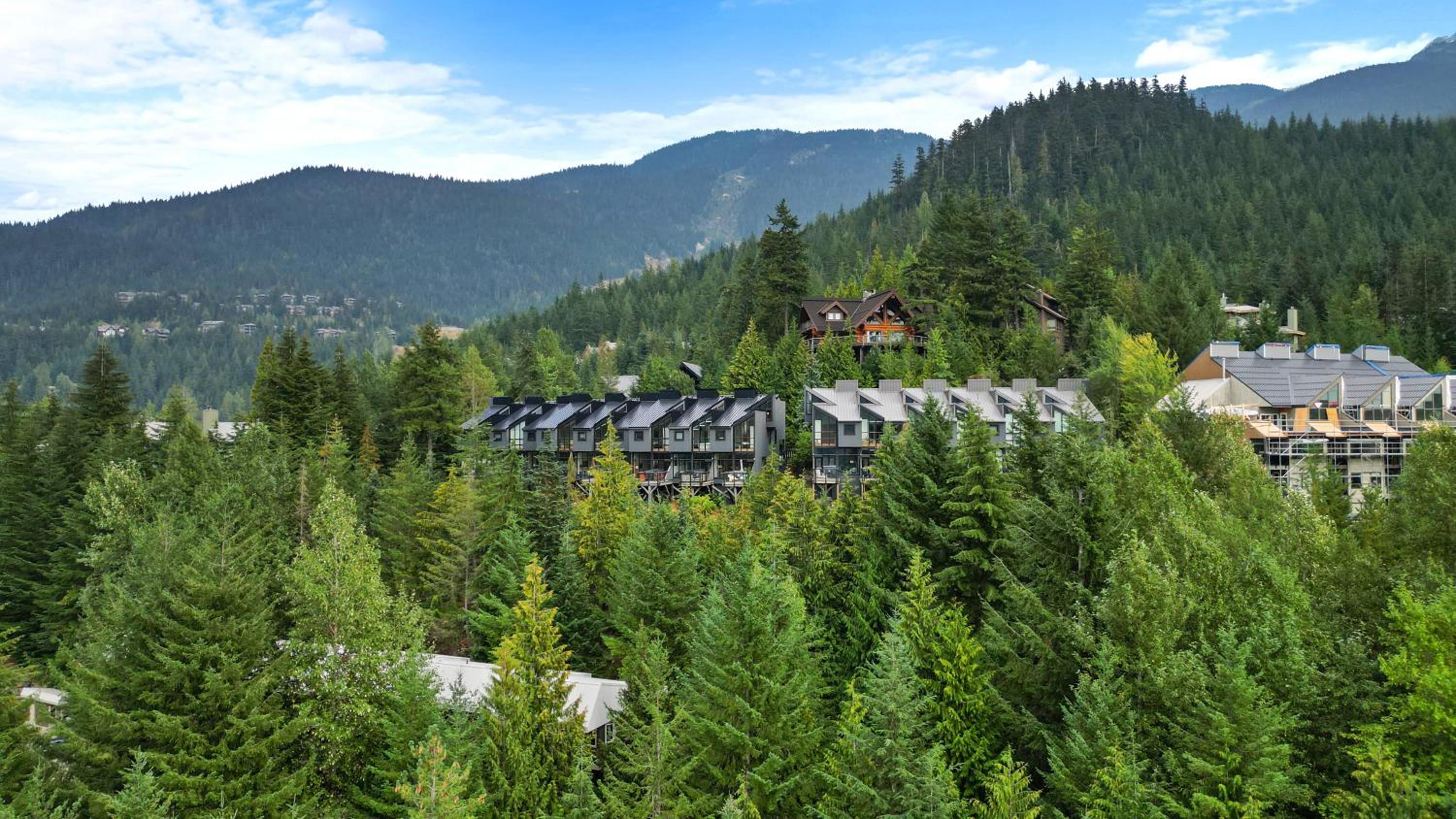 Whistler 'Treehouse'