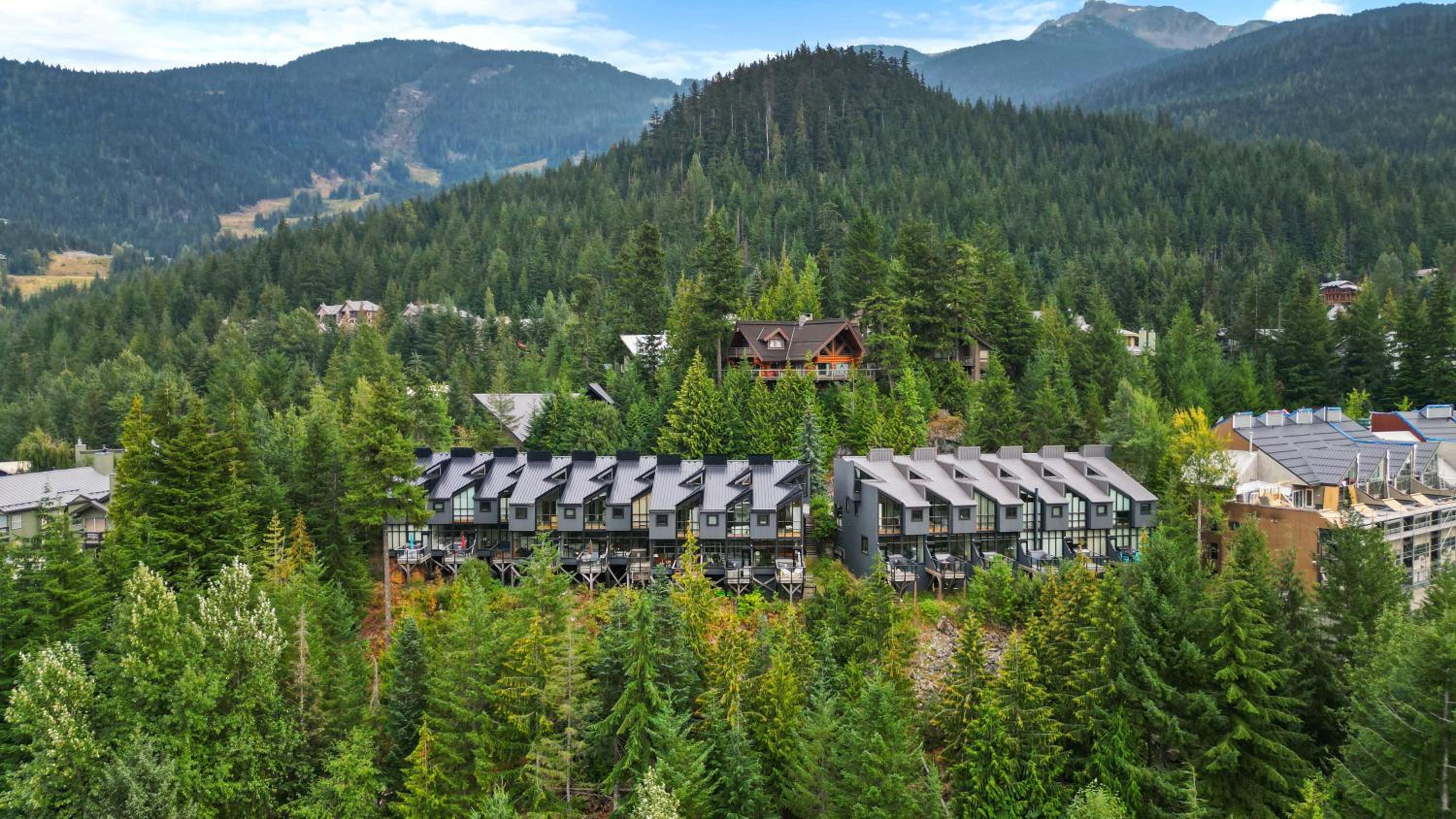 Whistler 'Treehouse'